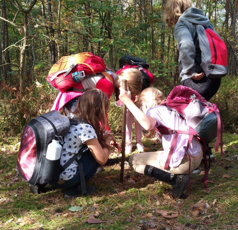GoHo-Forscher (Foto: Barbara Philipp) GoHo-Forscher