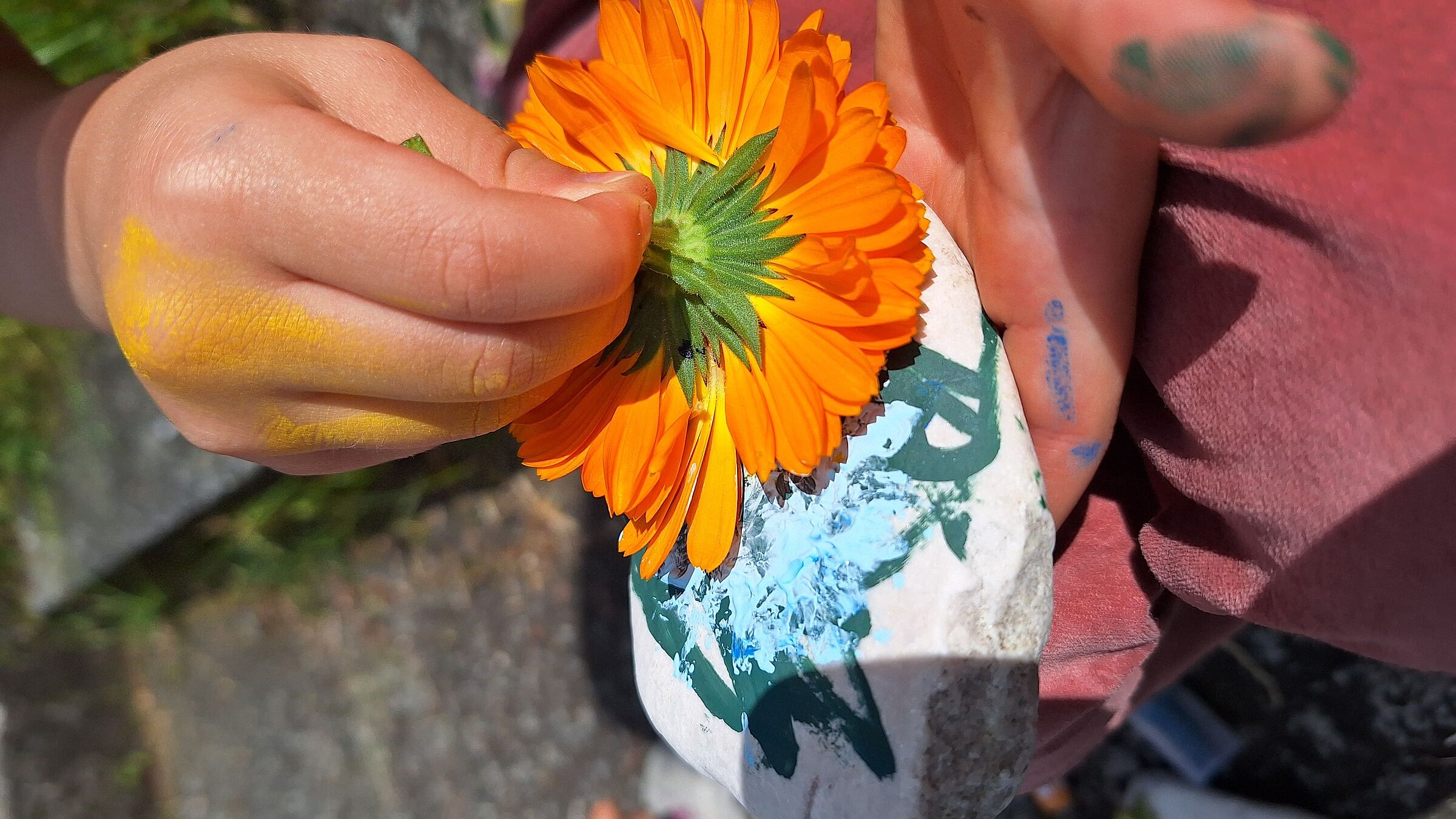 Bunte Steine (Foto: Stefan Bendkowski) Bunte Steine