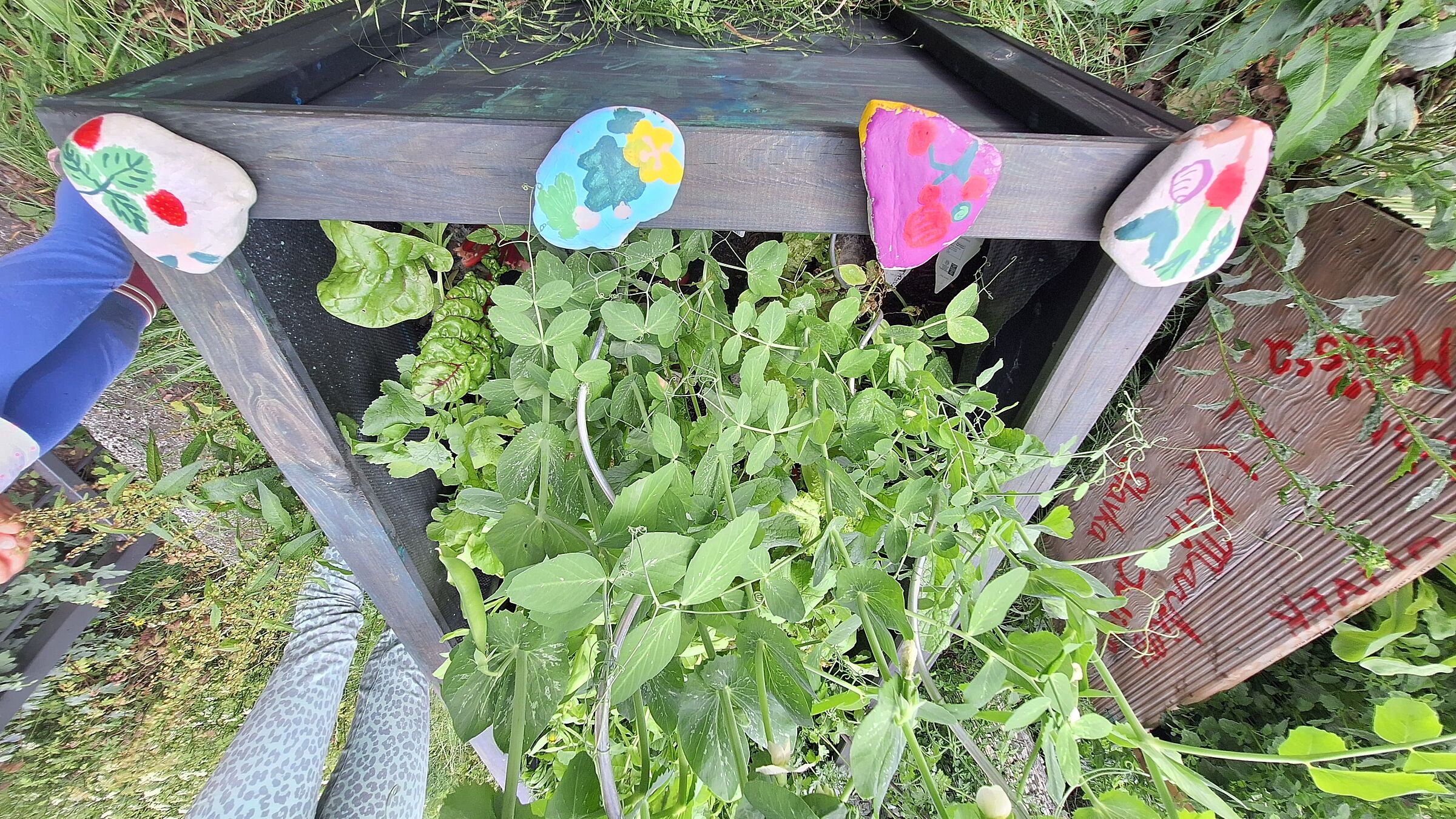 Bunte Steine (Foto: Stefan Bendkowski) Bunte Steine