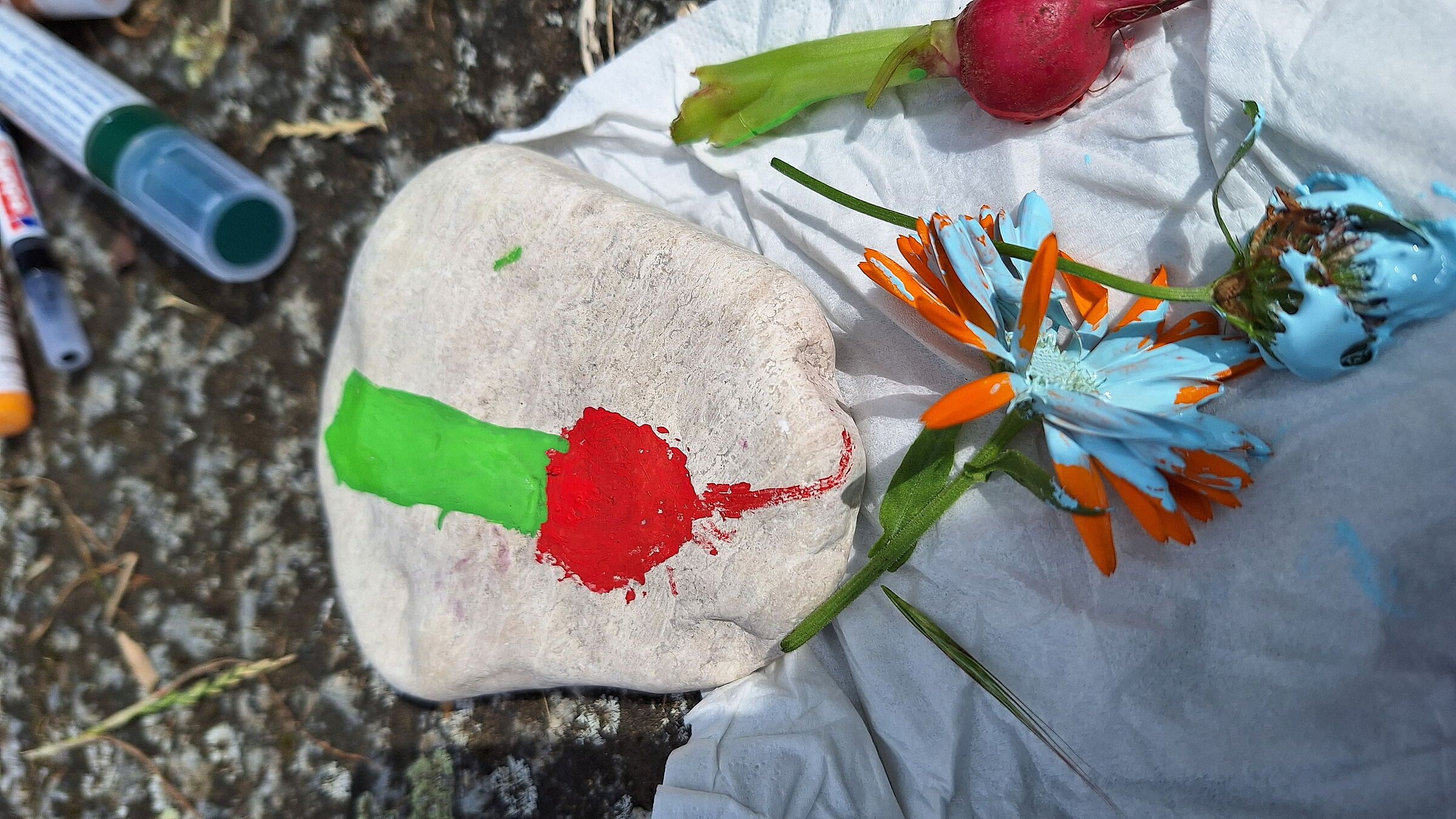 Bunte Steine (Foto: Stefan Bendkowski) Bunte Steine