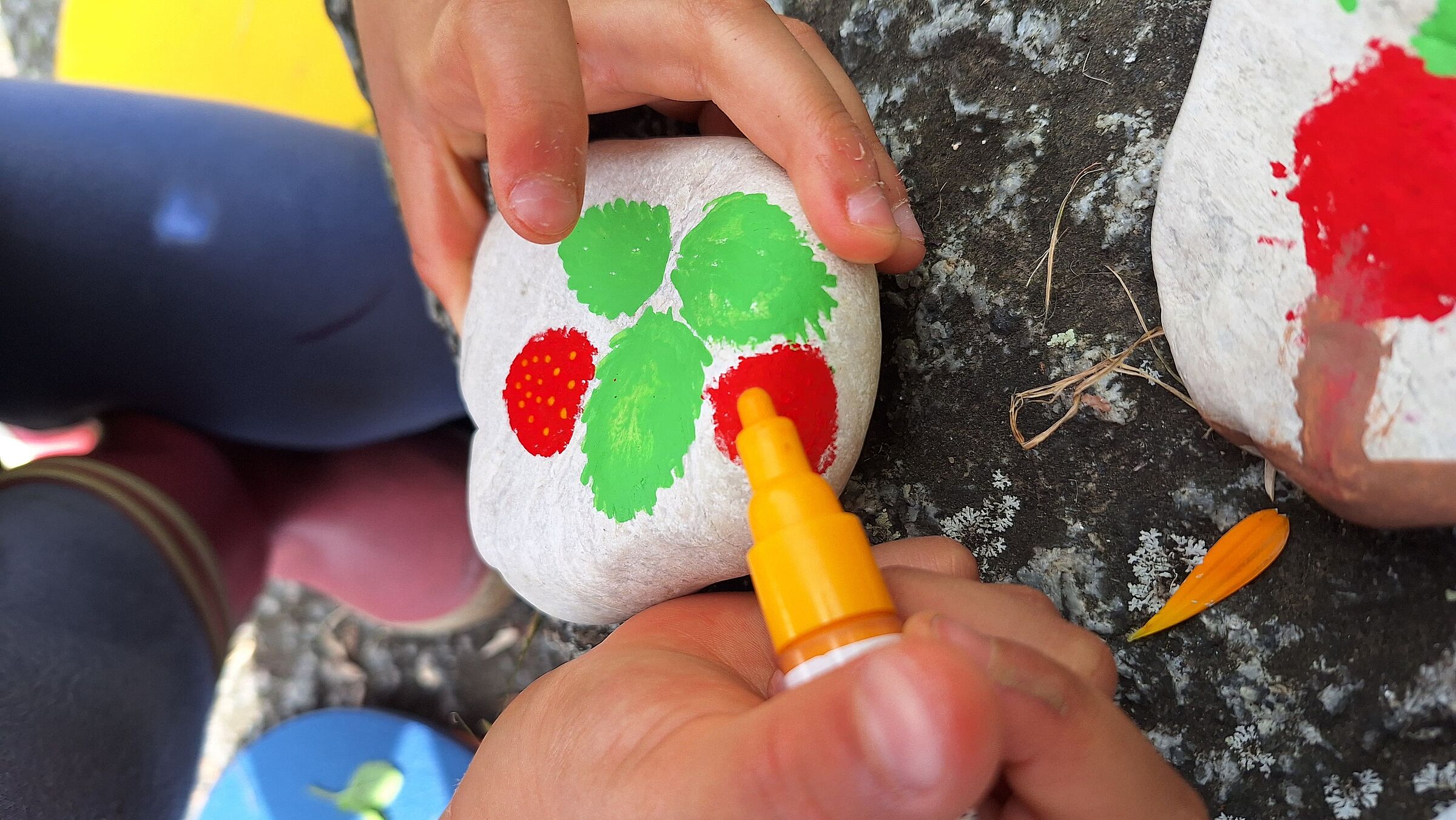 Bunte Steine (Foto: Stefan Bendkowski) Bunte Steine