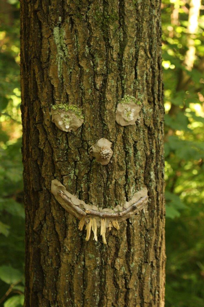 Waldentdecker Waldentdecker