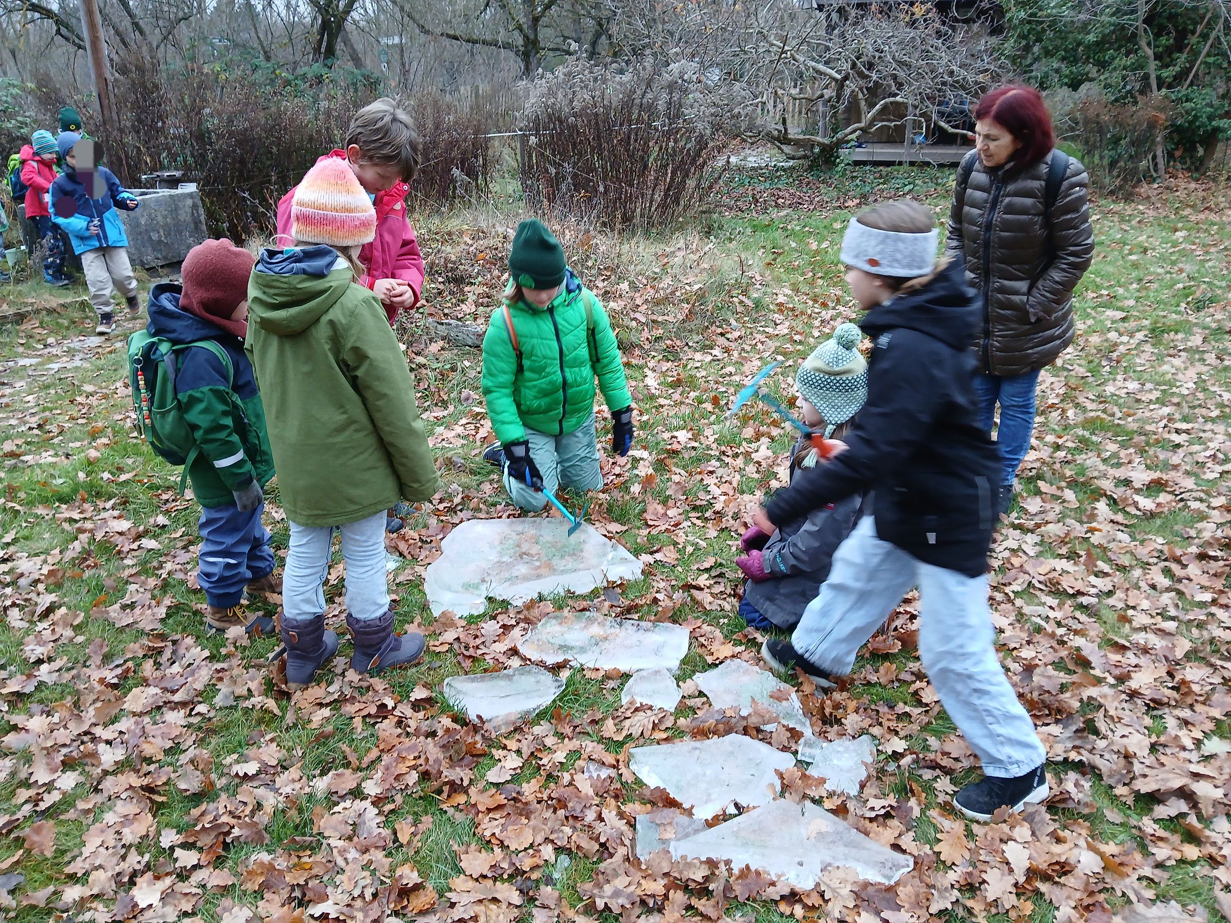 Eisplatten untersuchen