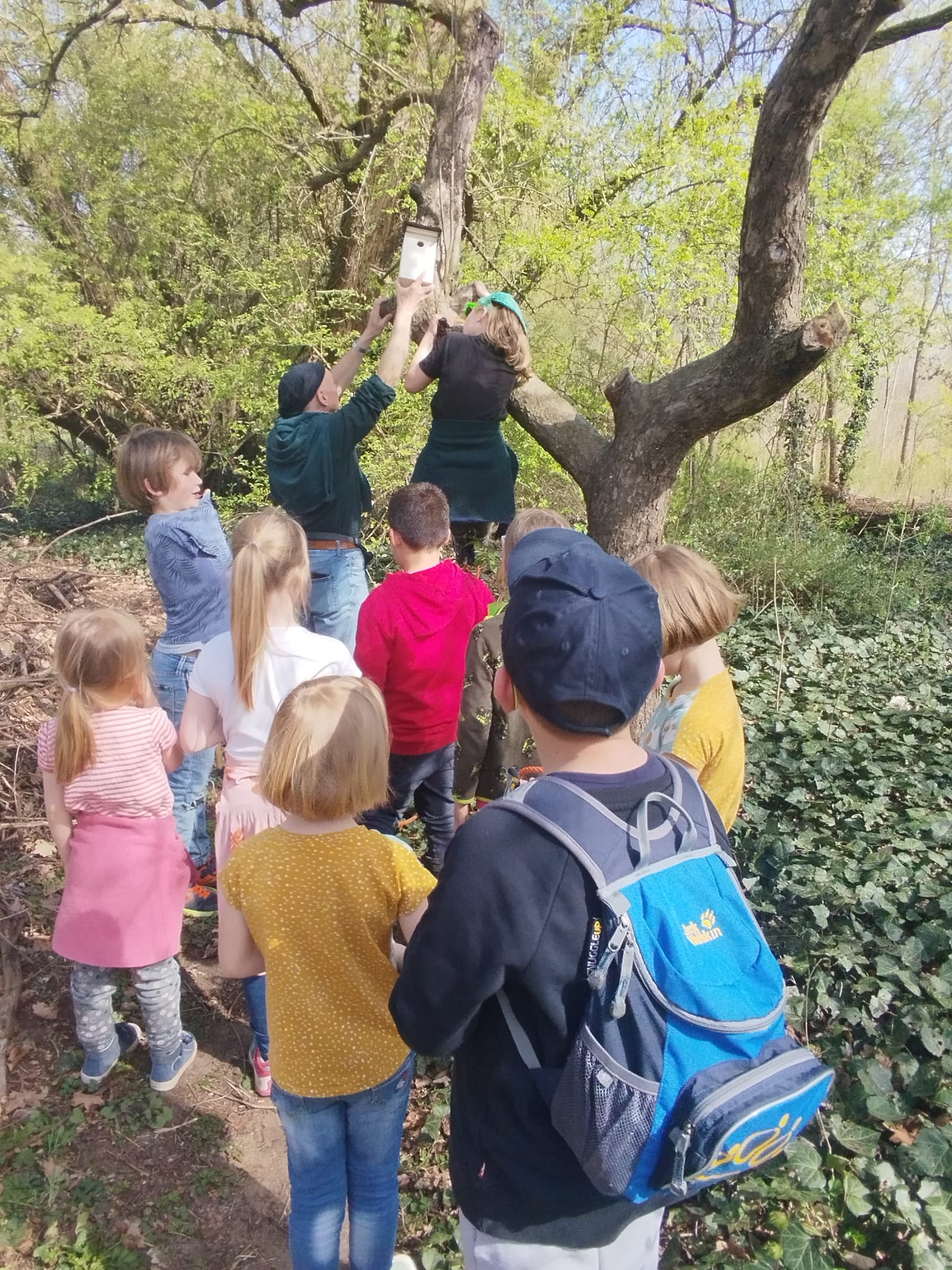 Vogelhaus aufhängen