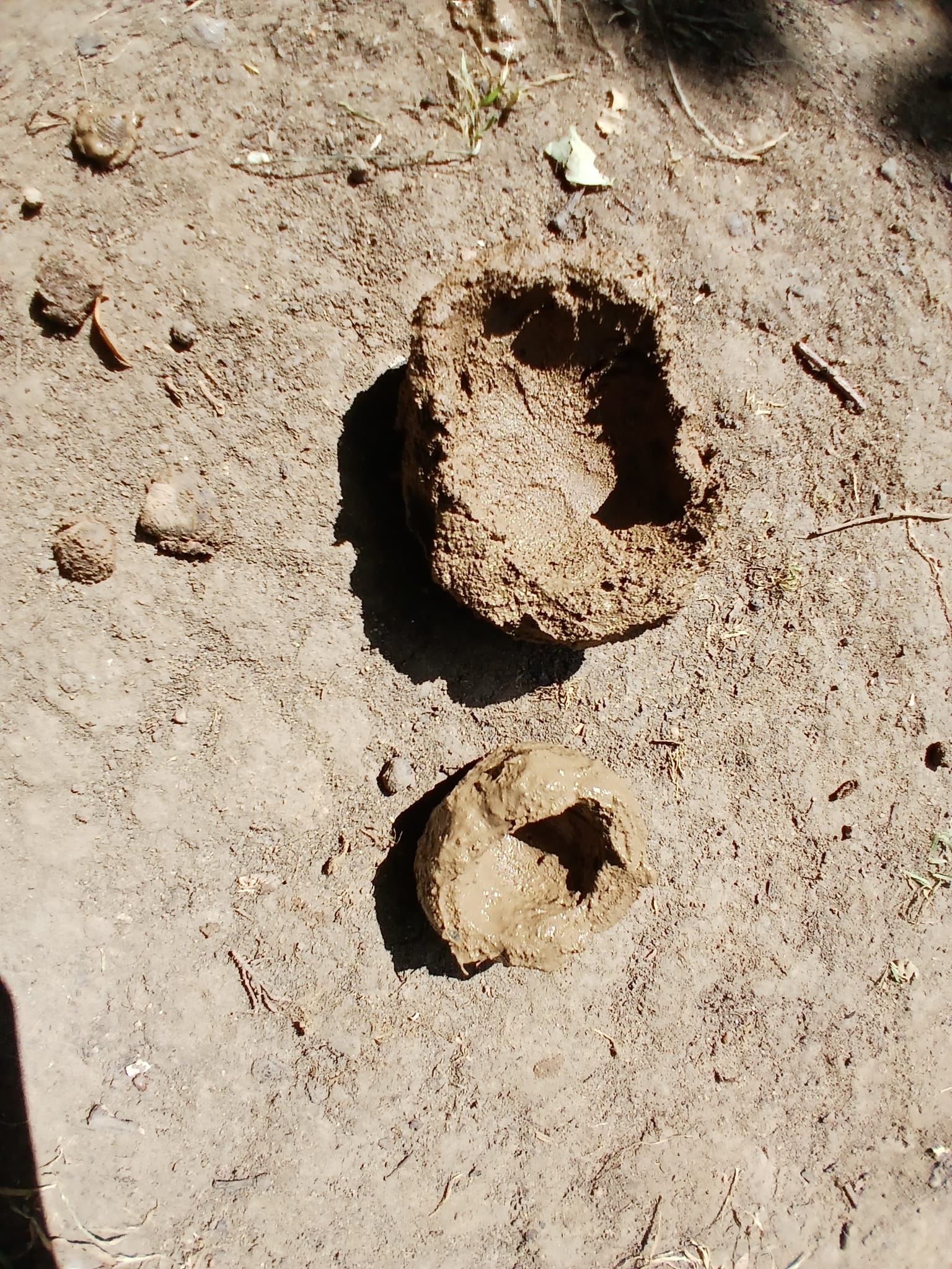 Foto: Sabine Scherer