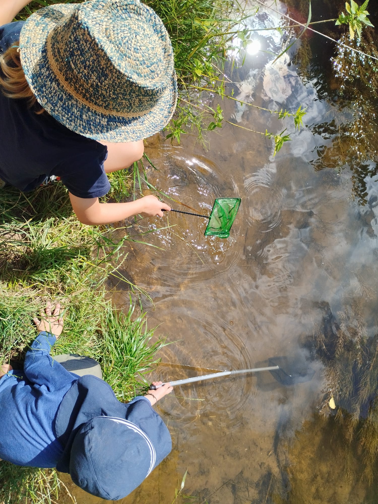 Keschern im Fluss (Foto: Sabine Scherer) Keschern im Fluss