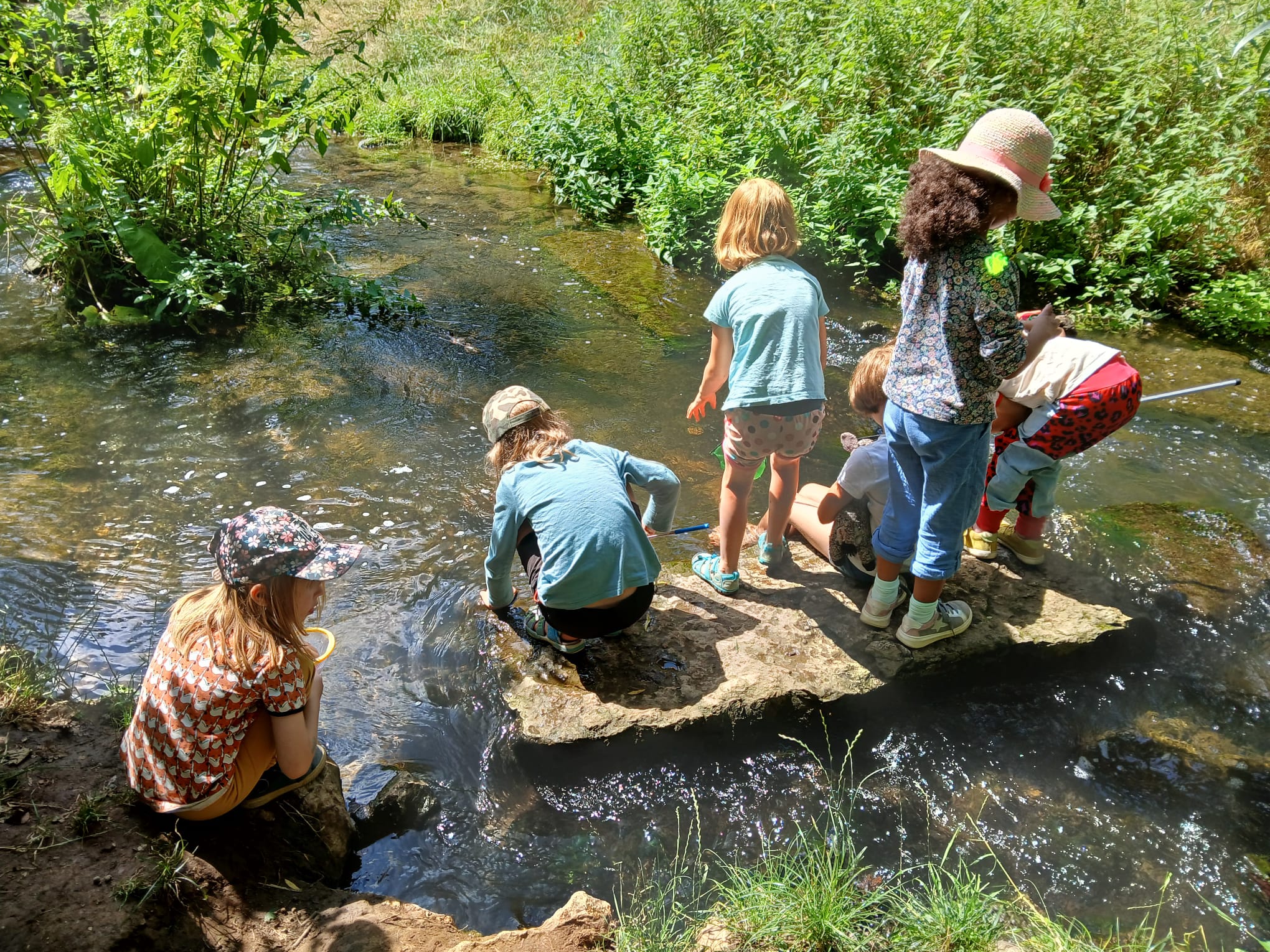 Foto: Sabine Scherer