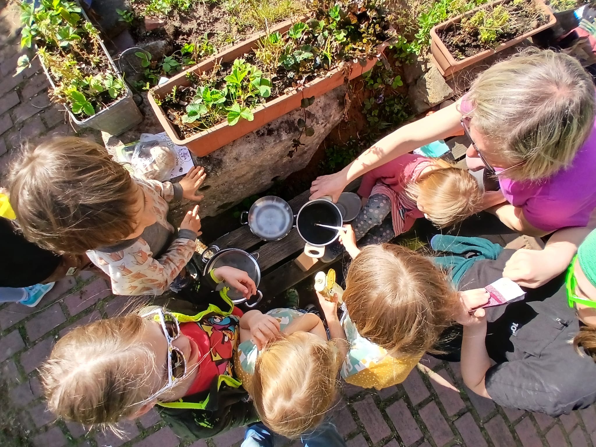 Löwenzahnhonig kochen