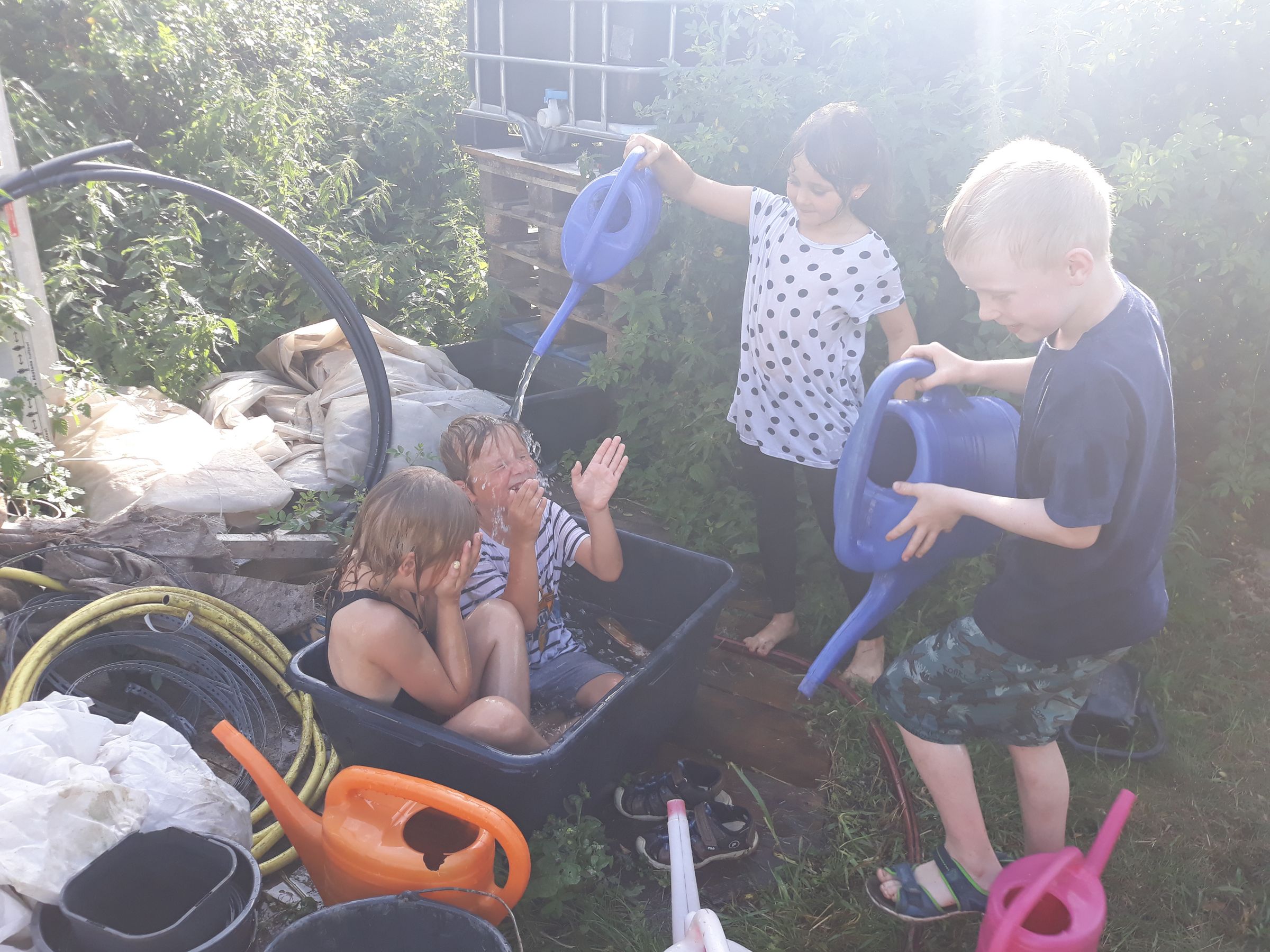 Abkühlung im Wasserbottich