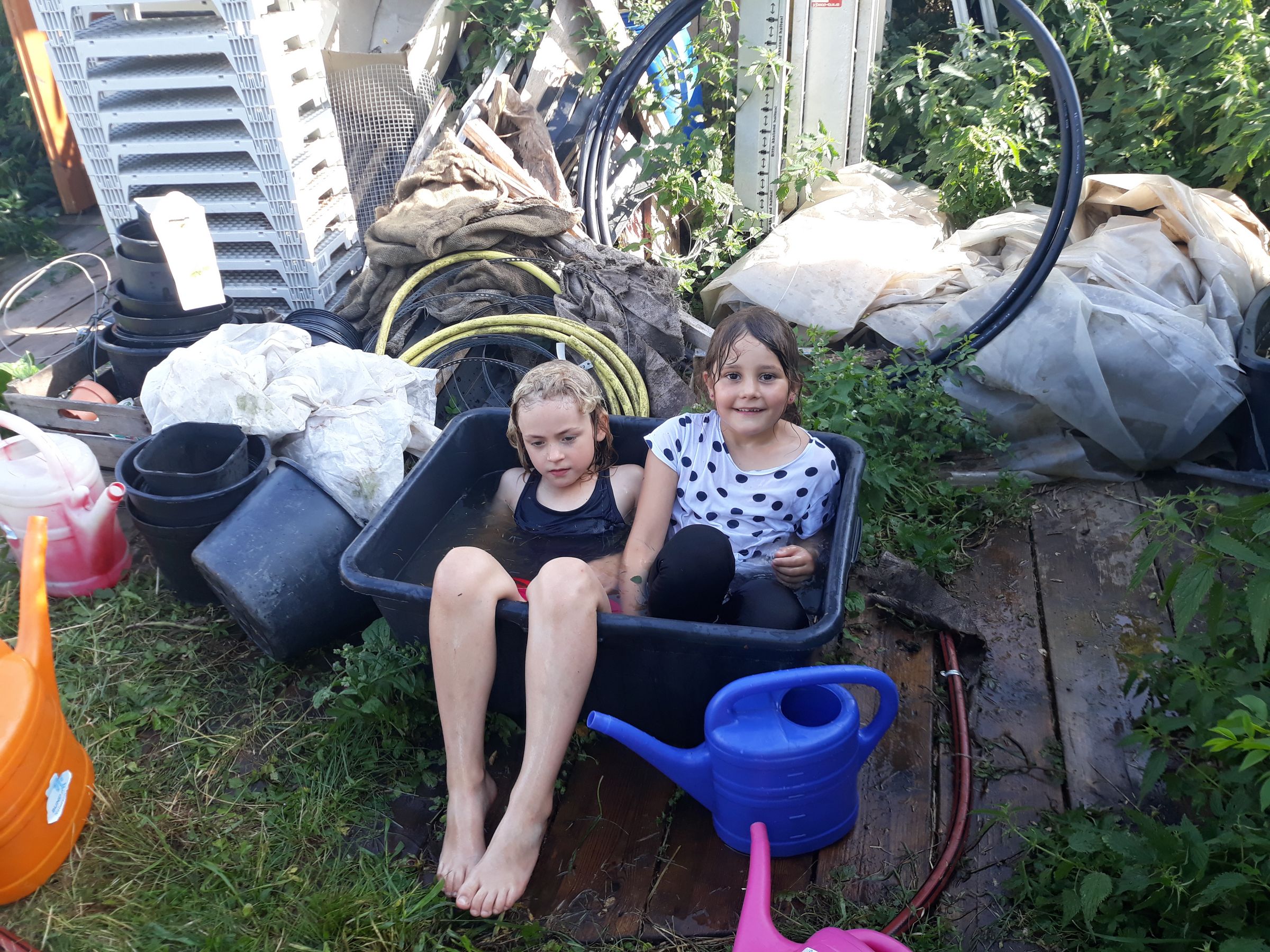 Abkühlung im Wasserbottich