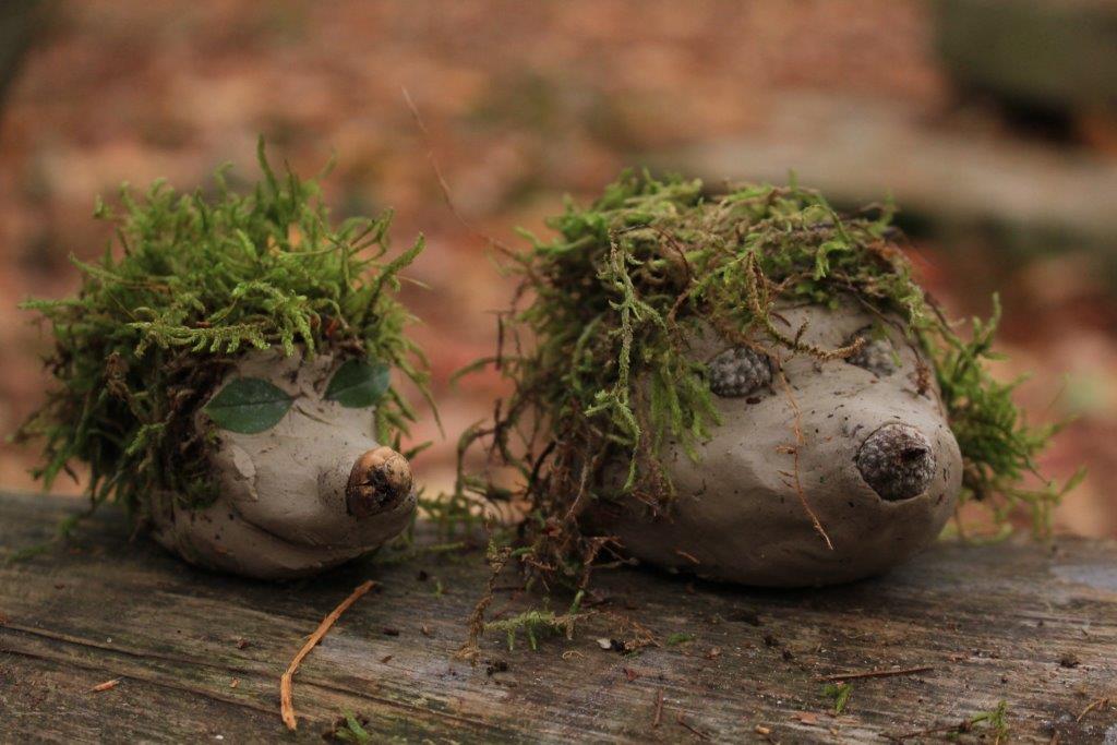 Kindergruppe Waldentdecker