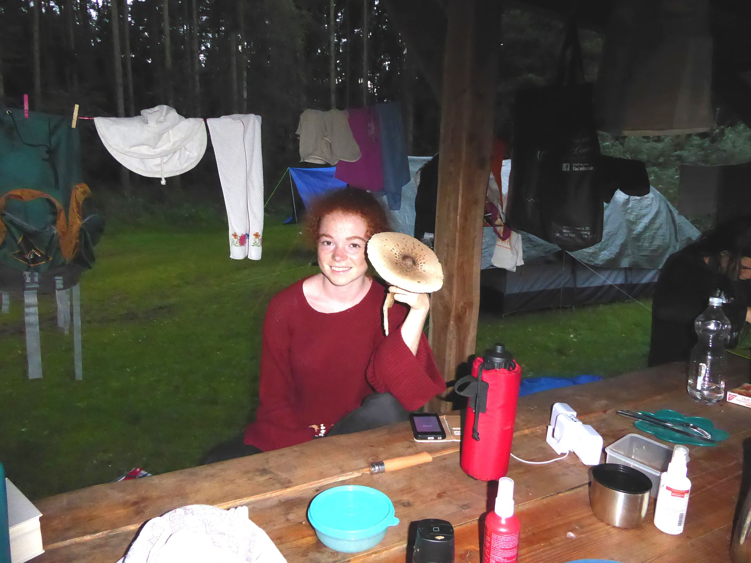 Erfolg bei der Pilzjagd Erfolg bei der Pilzjagd