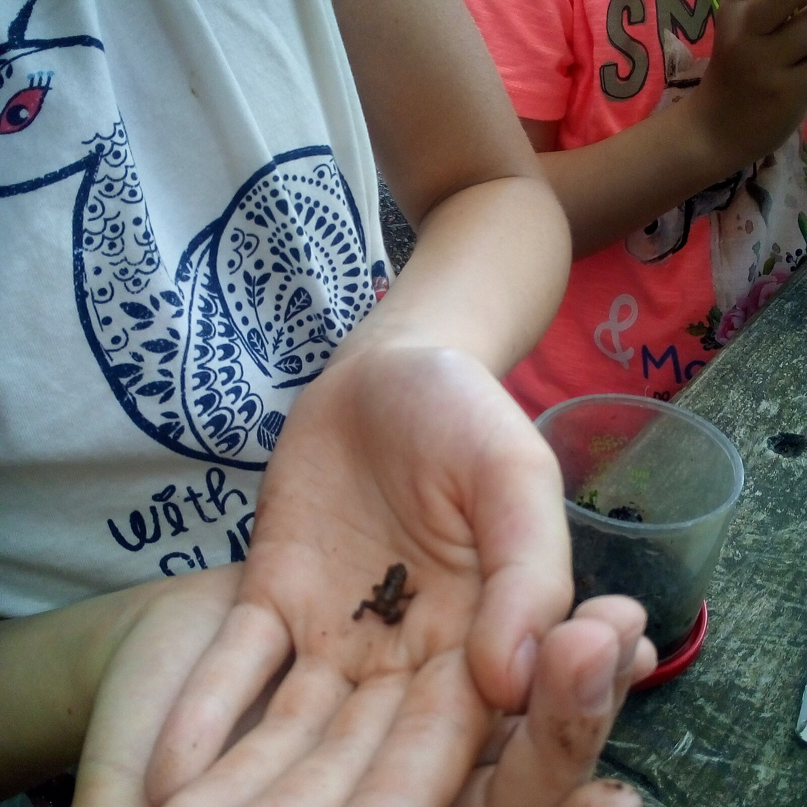 Keschern am Eisweiher