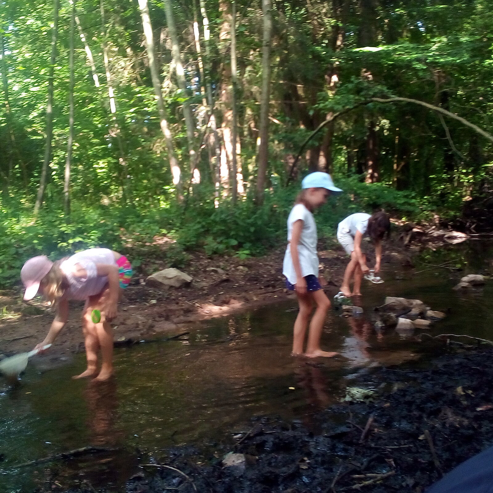Keschern am Fischbach (Foto: Cornelia Rotter) Keschern am Fischbach