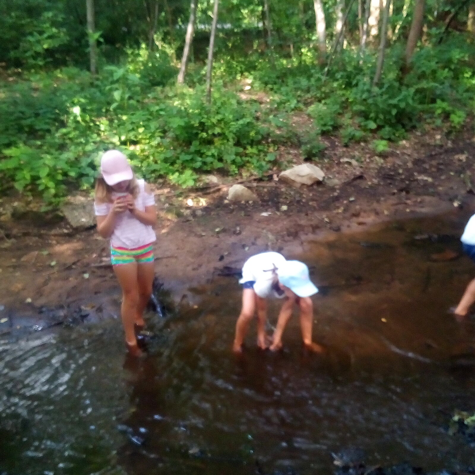 Keschern am Fischbach (Foto: Cornelia Rotter) Keschern am Fischbach