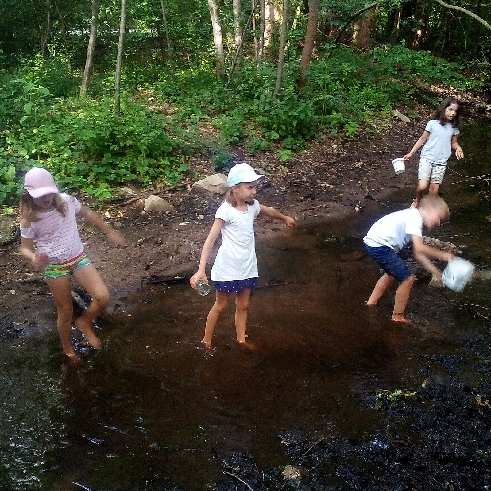 Keschern am Fischbach (Foto: Cornelia Rotter) Keschern am Fischbach