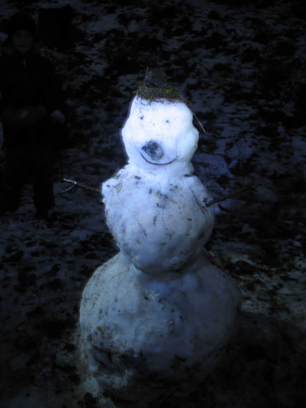 Weihnachtspicknick mit Schneemannbau Weihnachtspicknick mit Schneemannbau