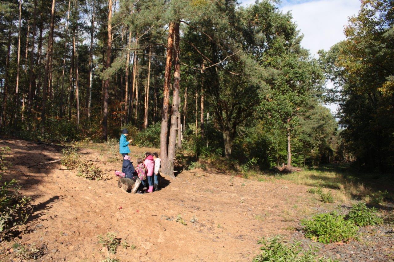 Waldentdecker Waldentdecker