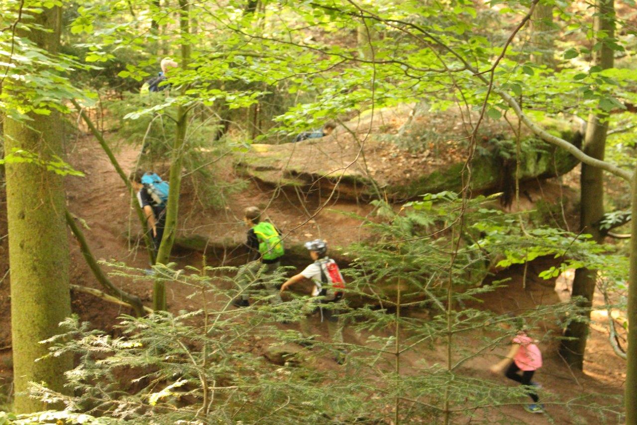 Kindergruppe Wald beim Tiergarten