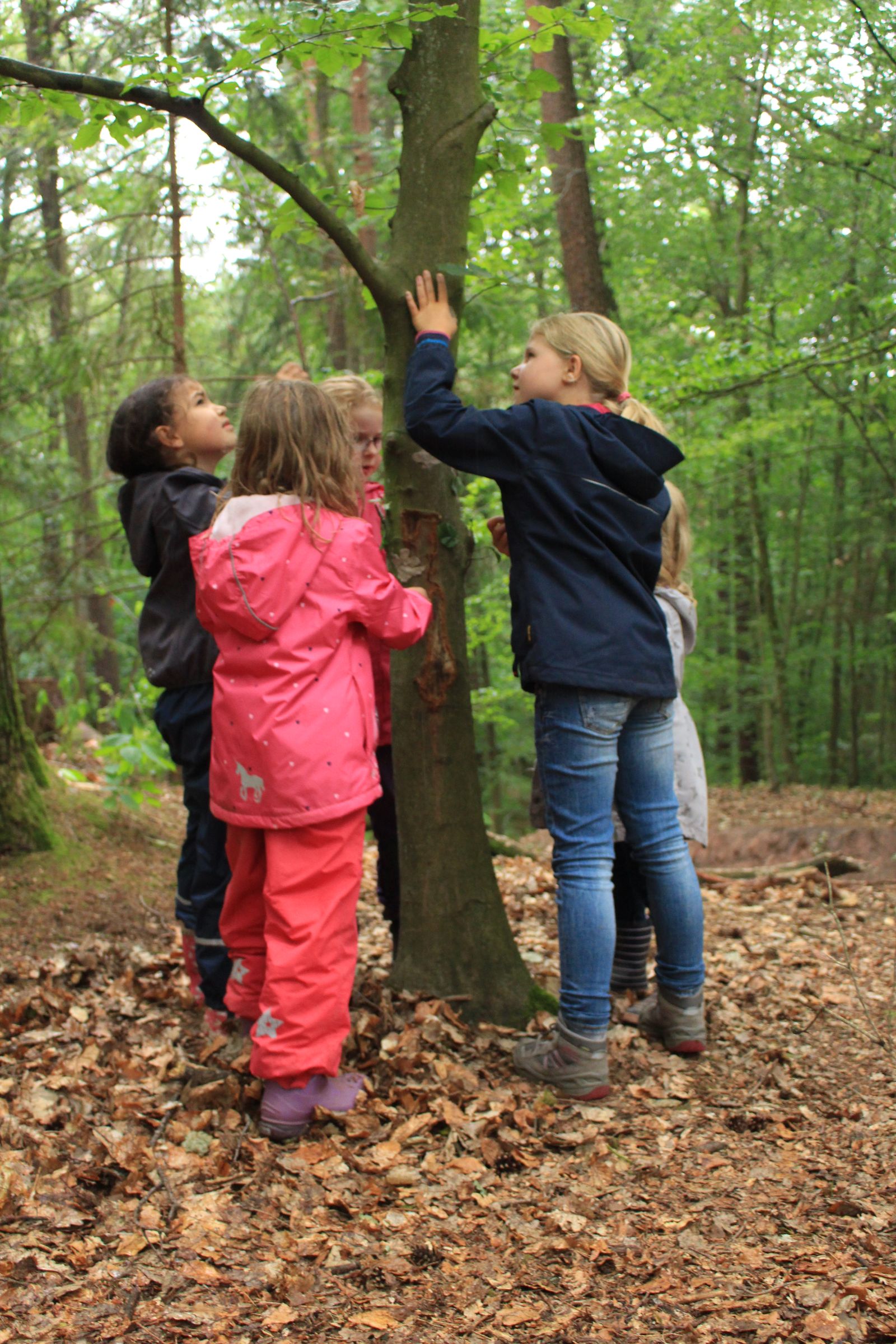Kindergruppe Wald beim Tiergarten