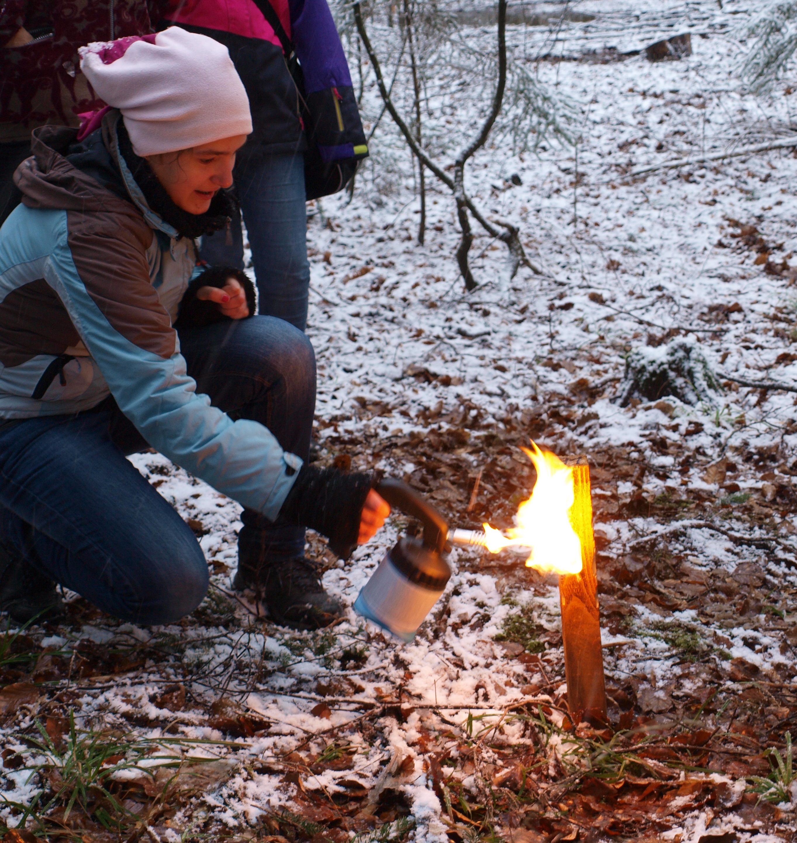 Nach dem Einklopfen werden die Stöcke abgeflämmt, damit sämtliches etwa daran hängendes Genmaterial – Haare, Federn, Fusseln etc. – verbrennt und beim Absuchen nicht versehentlich mit eingesammelt wird.