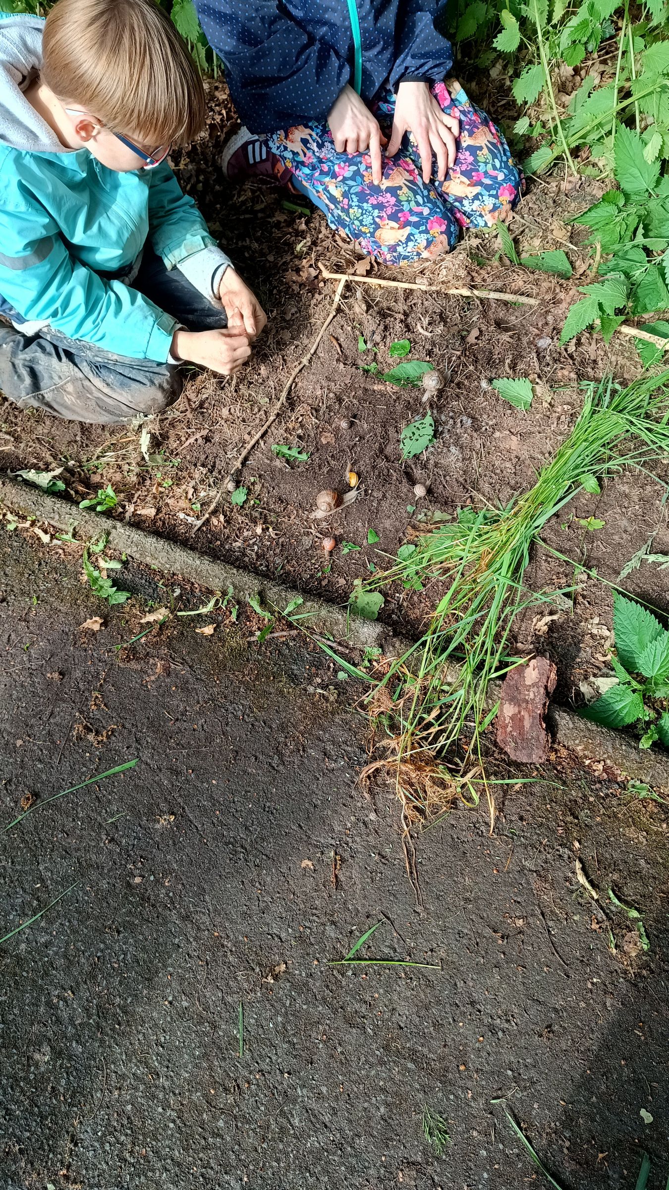 Schneckenhindernisse