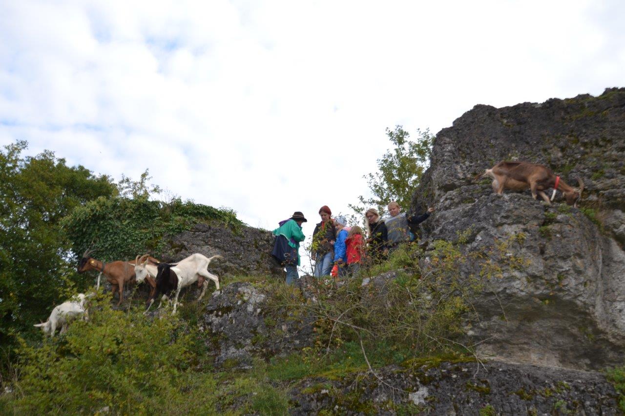 Ziegenwanderung