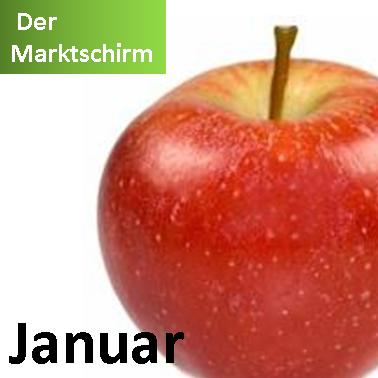 Der Marktschirm – Januar 2017