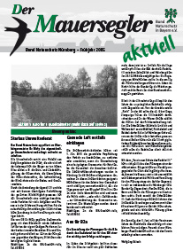 Mauersegler 1/2005