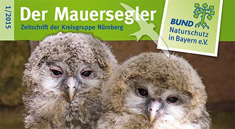 Titelbild Mauersegler 1/2015
