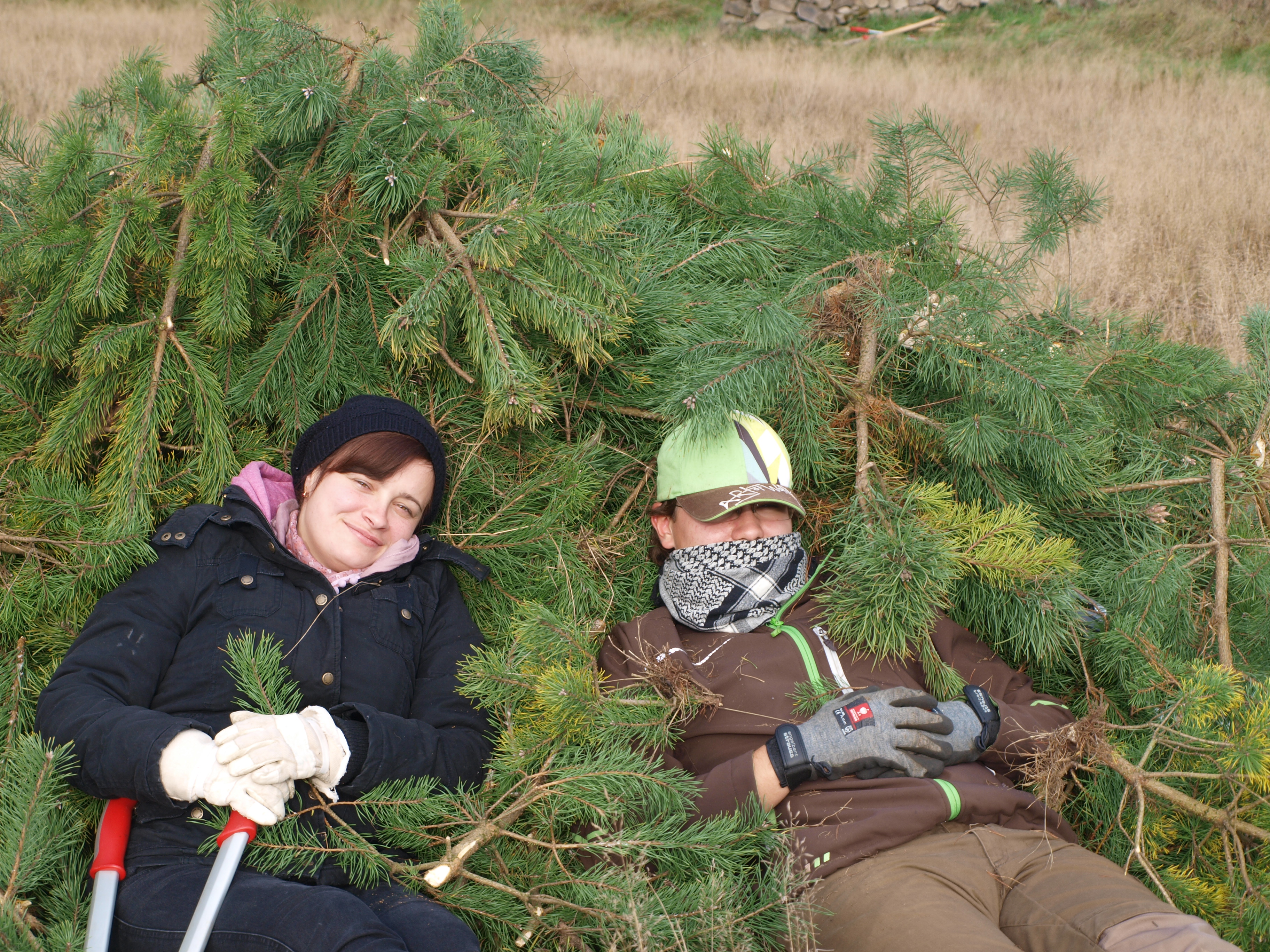 Kiefernaktion Kornburg