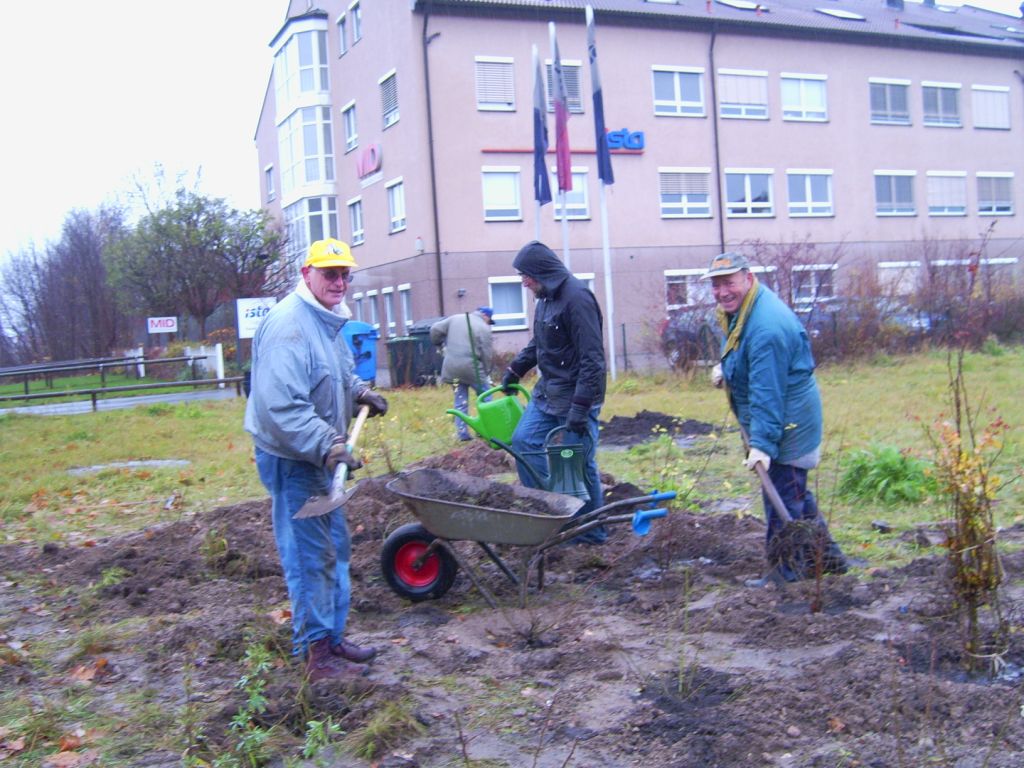 Pflanzung einer Vogelschutzhecke