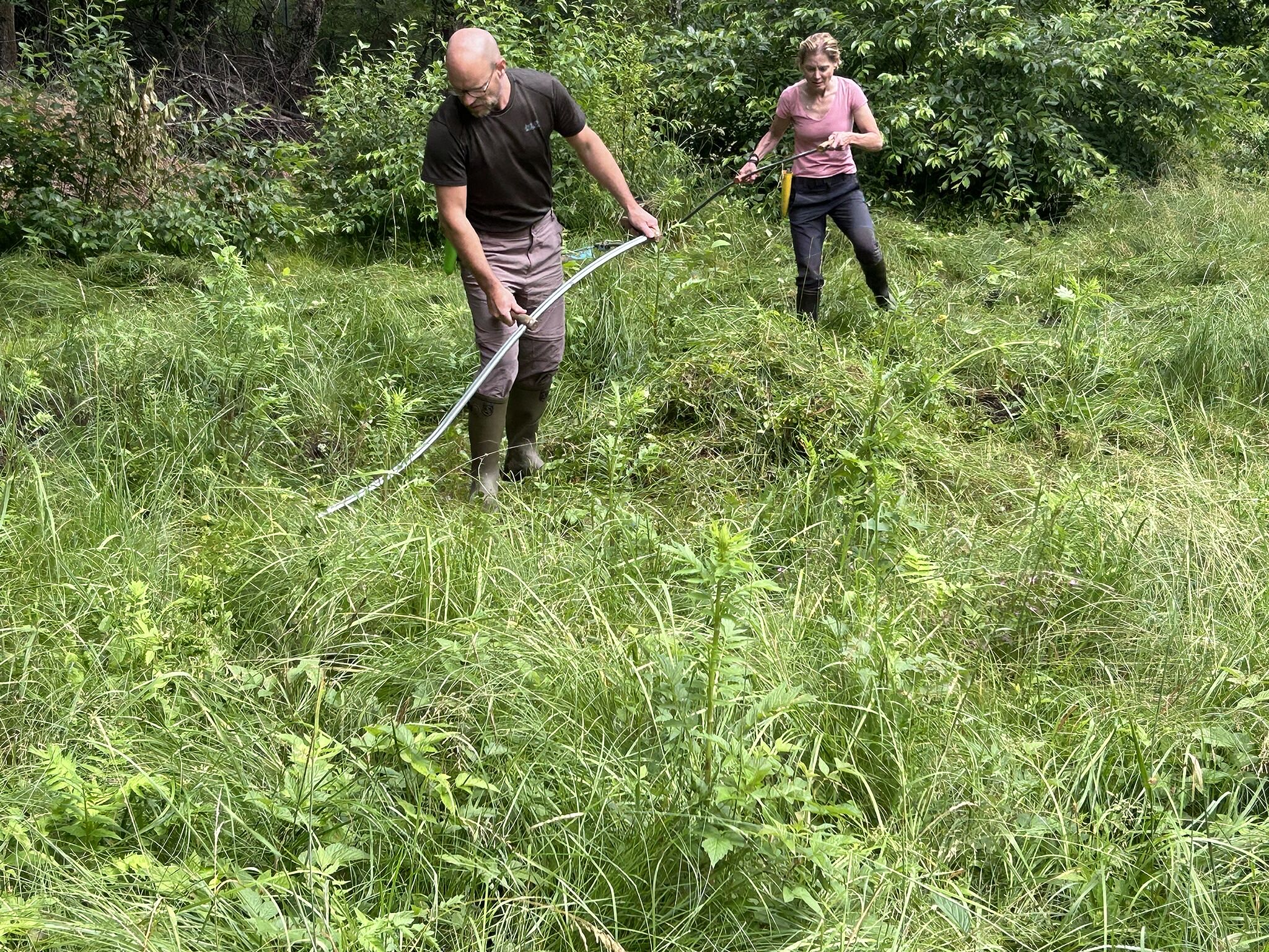 Mahd der Feuchtwiese Fischbach (Foto: Ingo Klose) Mahd der Feuchtwiese Fischbach