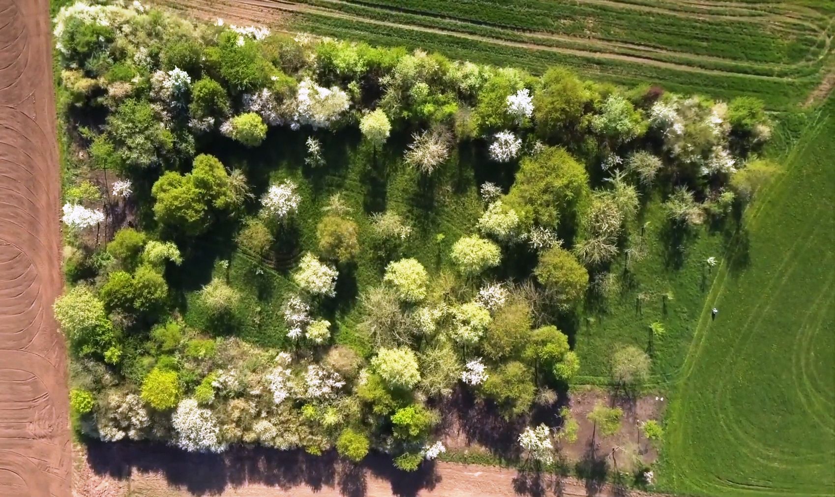 Biotop Kleingründlach