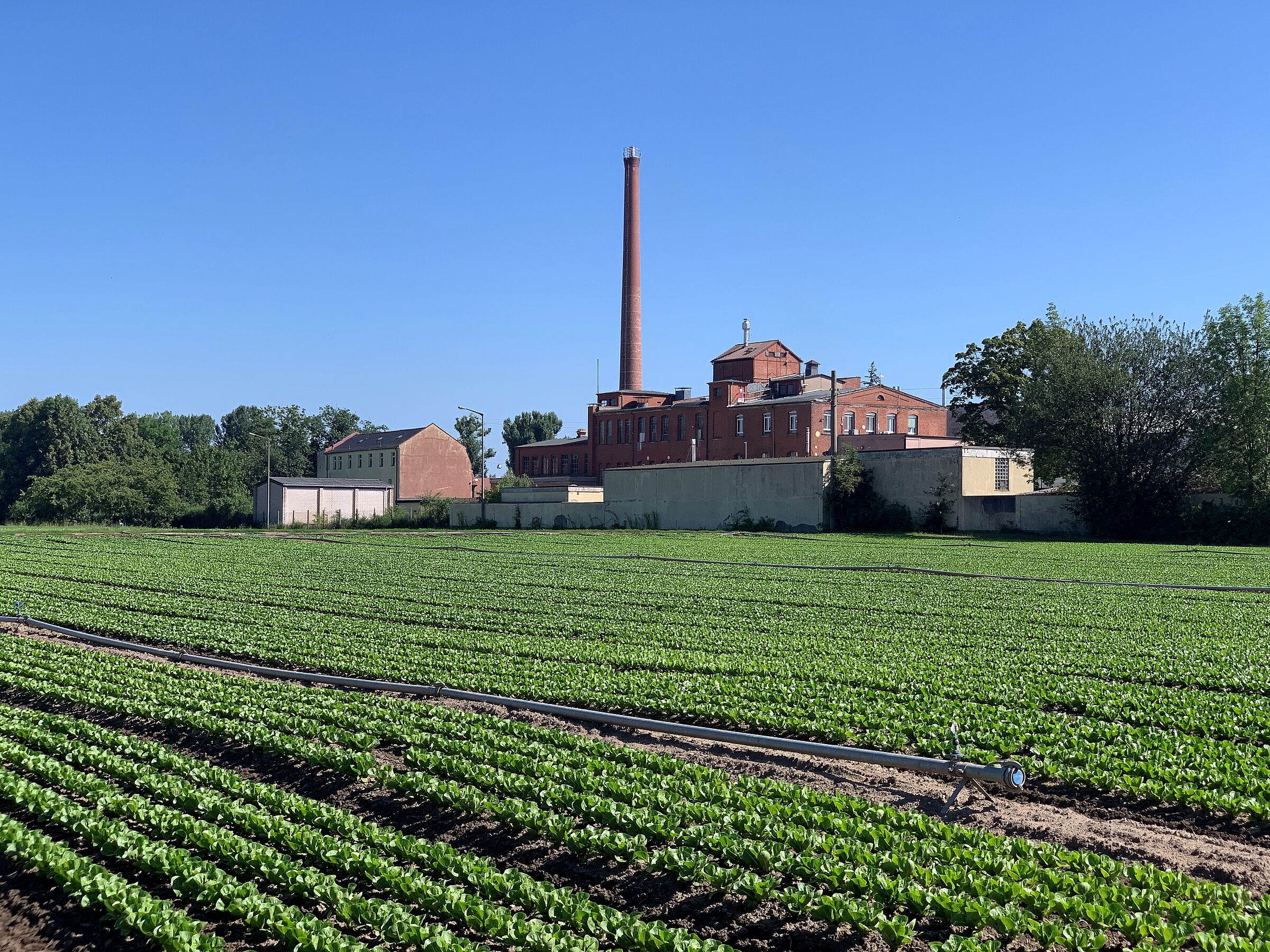 ehemalige Hefefabrik in Buch