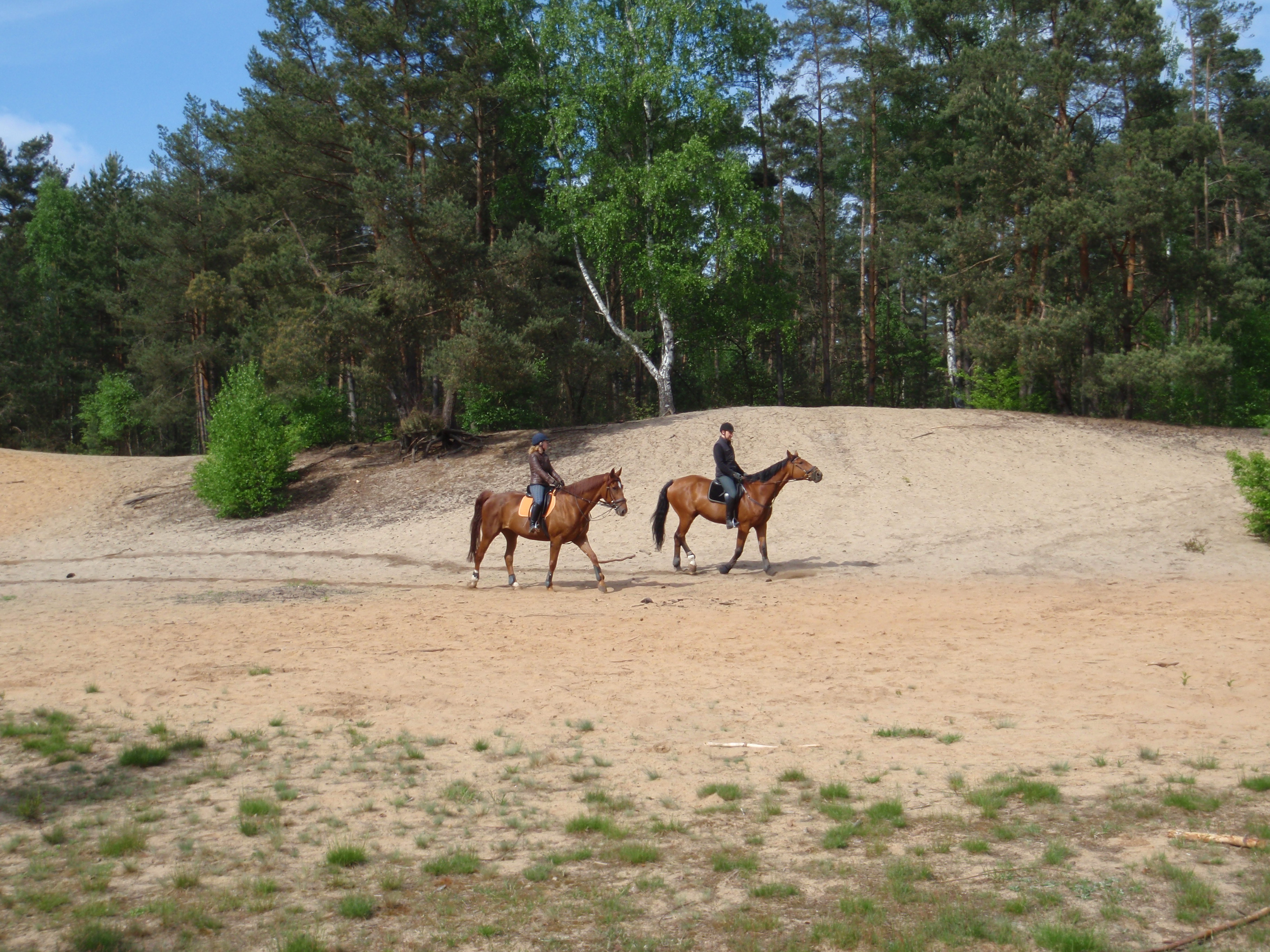 Sanddüne Erlenstegen