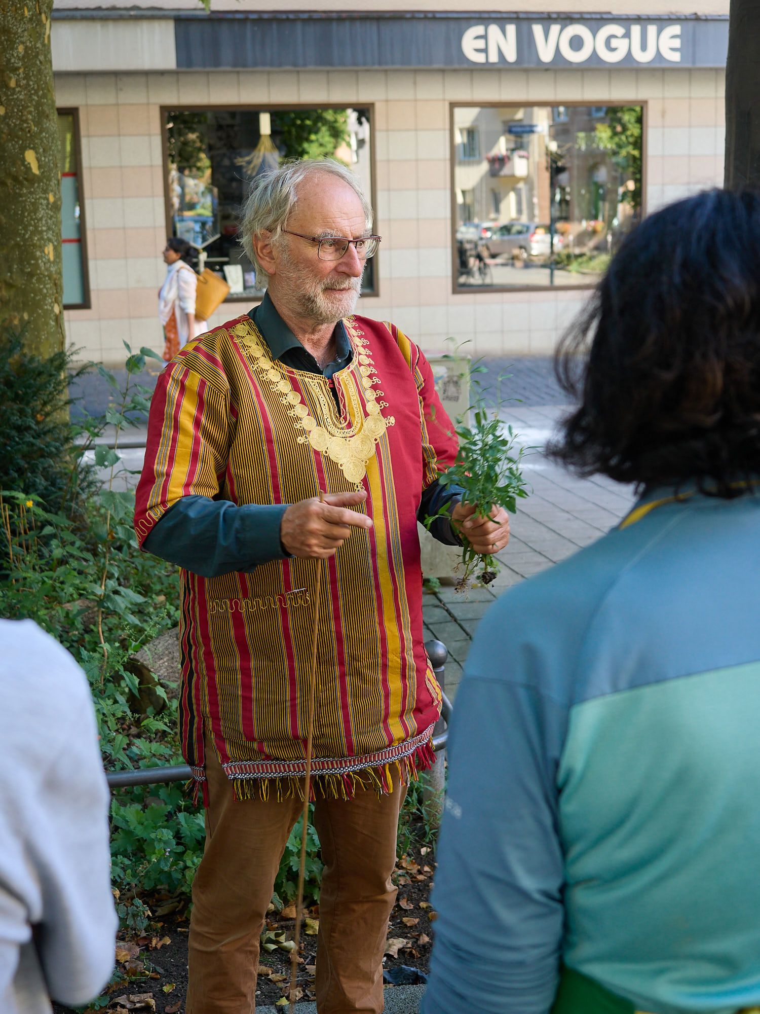 Baumscheibenführung