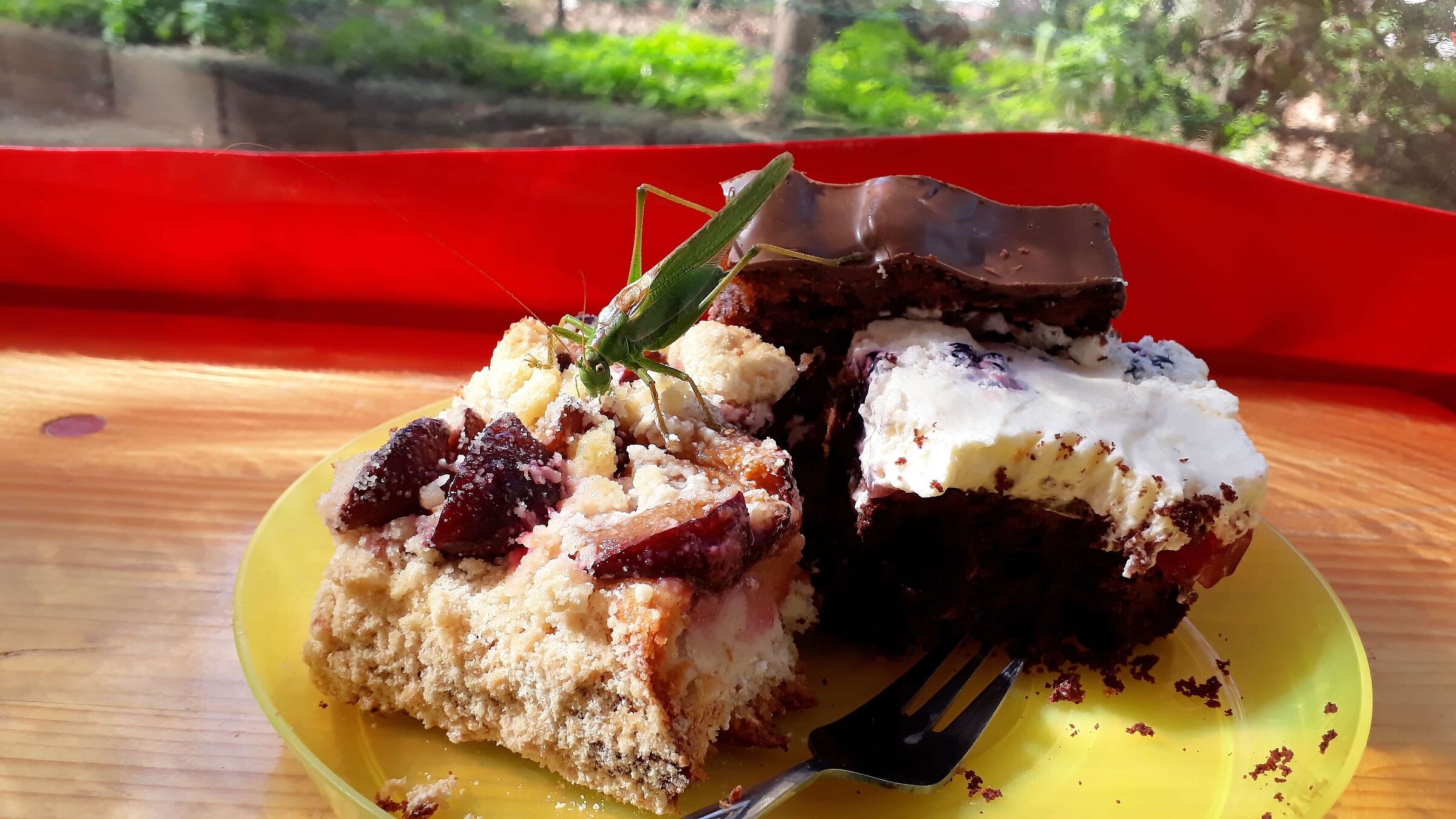 Grünes Heupferd auf Kuchen