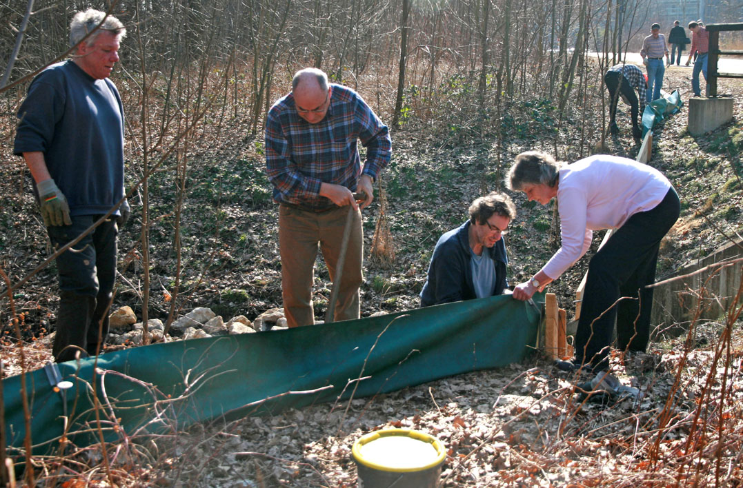 Aufbau des Krötenzauns am Dutzendteich