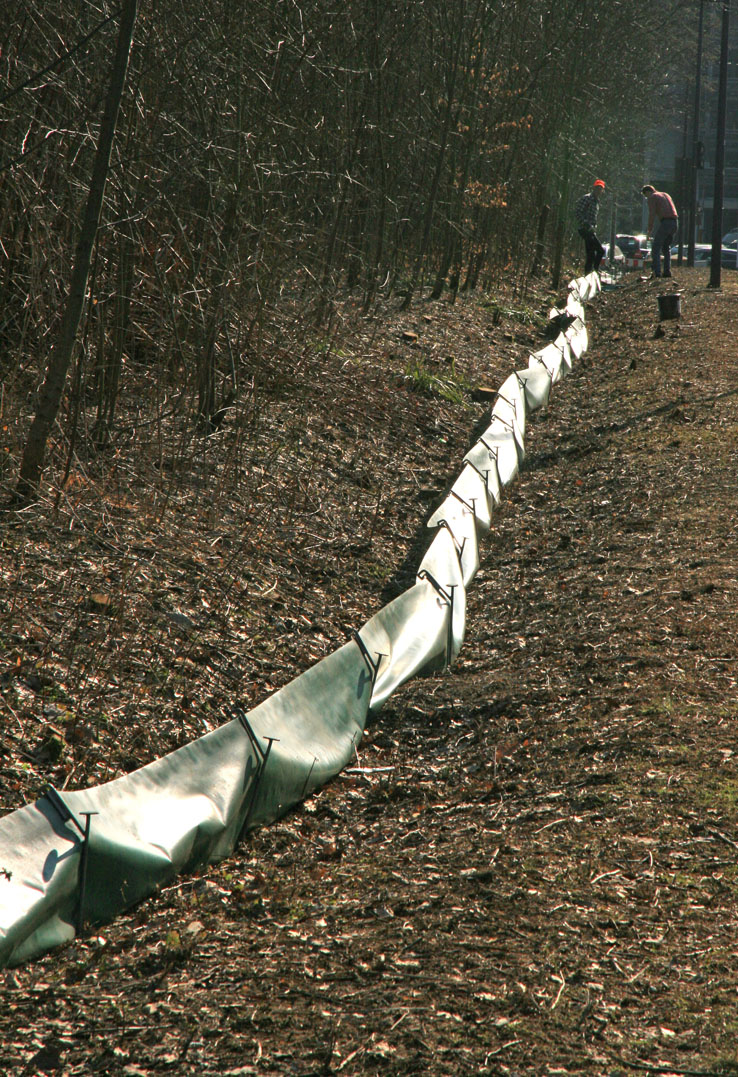 Krötenzaun am Dutzendteich