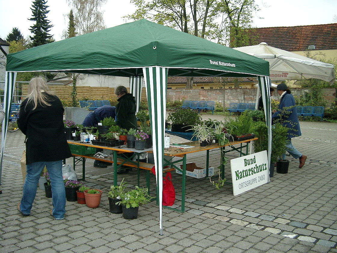 Pflanzenbörse Zabo