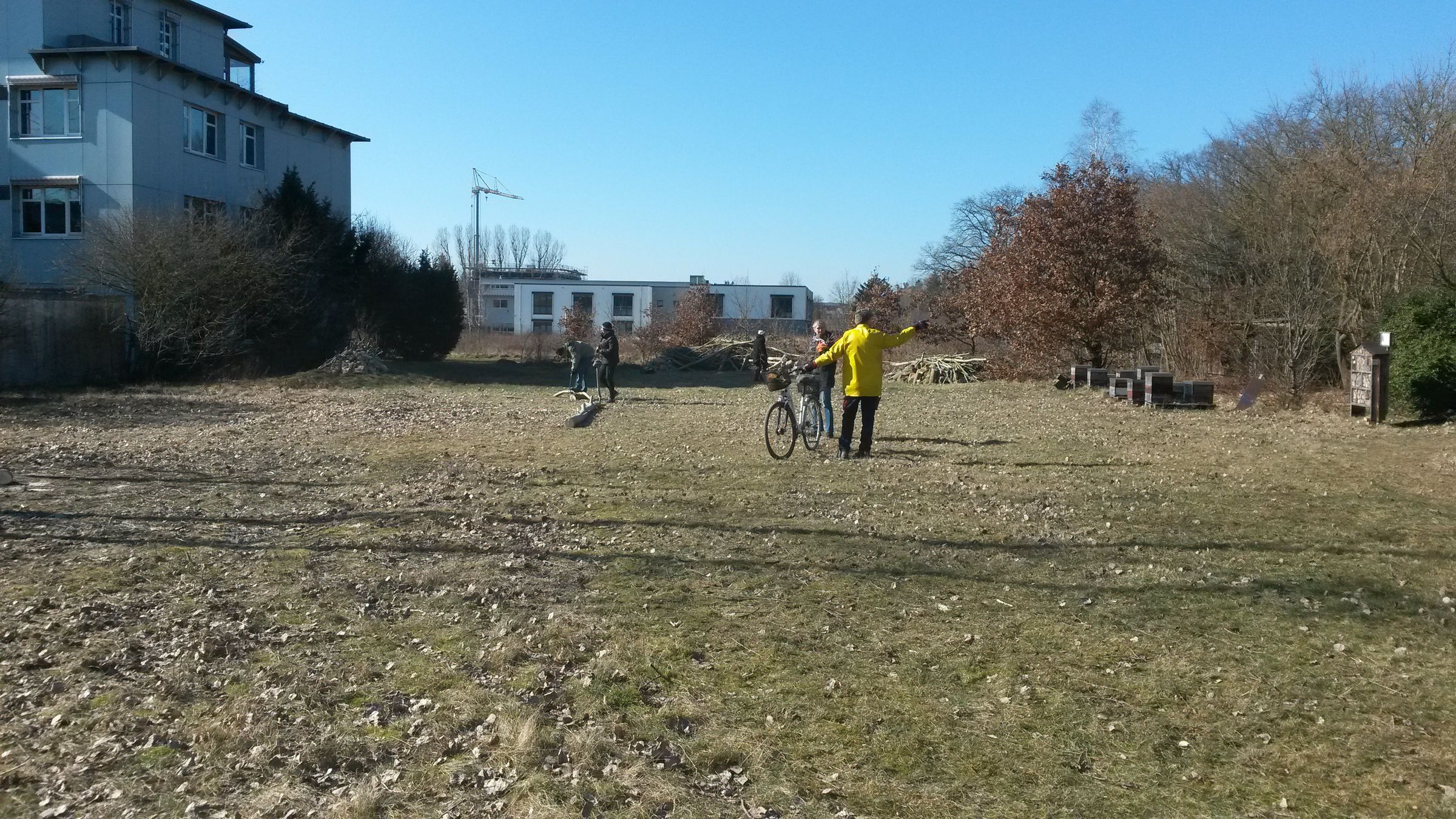 Gehölzschnitt auf der Heidefläche in Ziegelstein