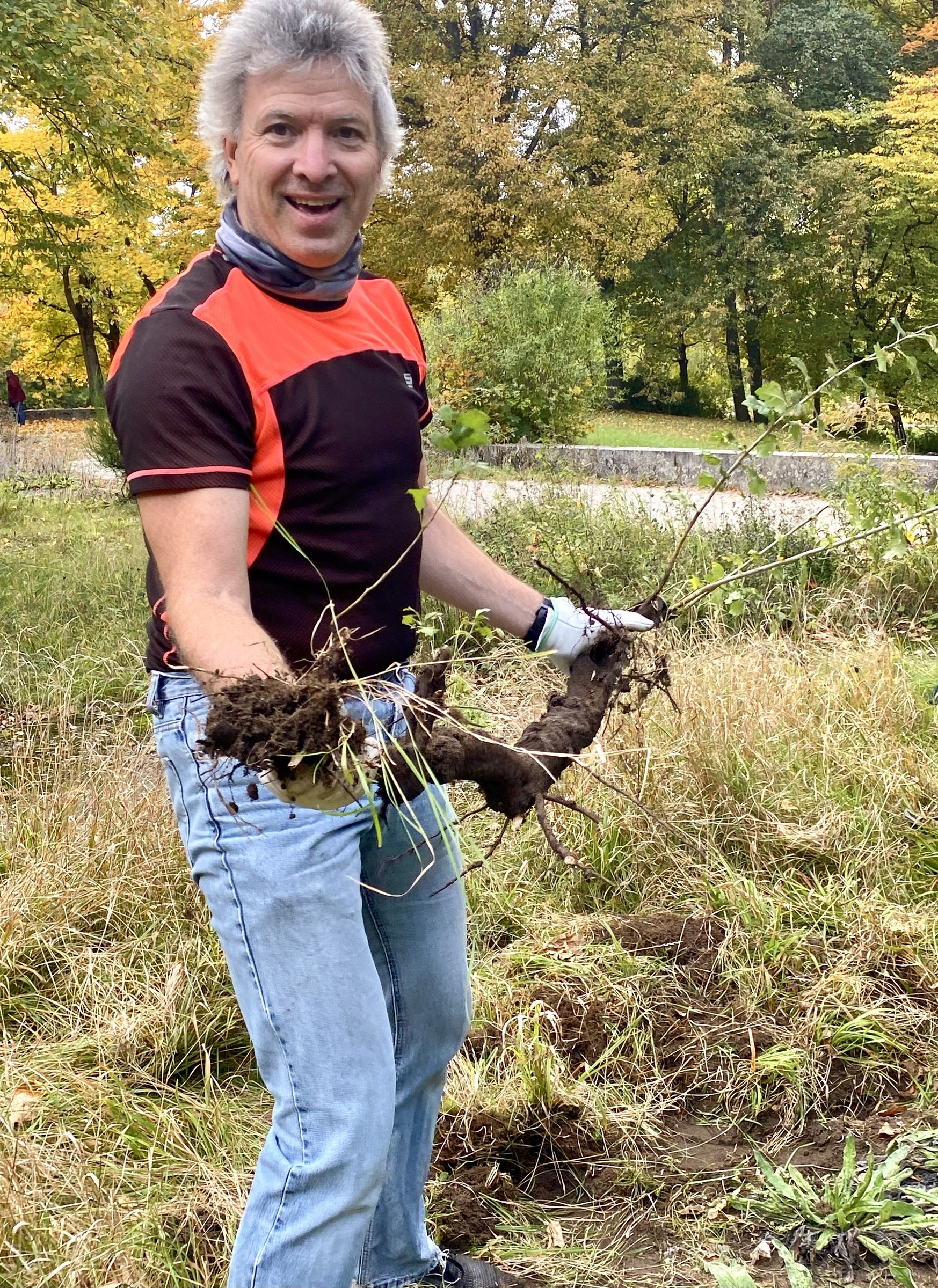 Biotoppflege im InsektenReich