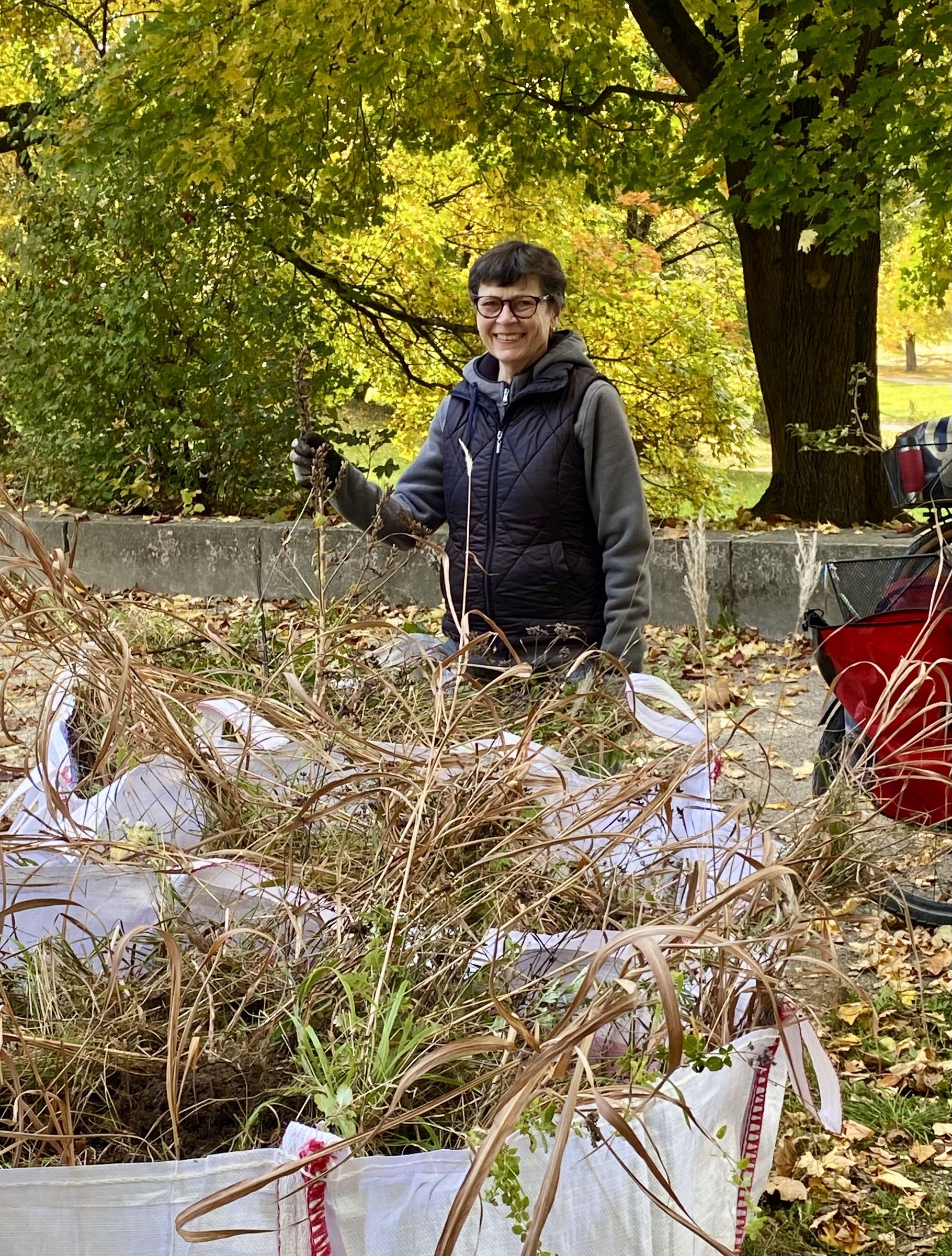Säcke mit Grünabfall
