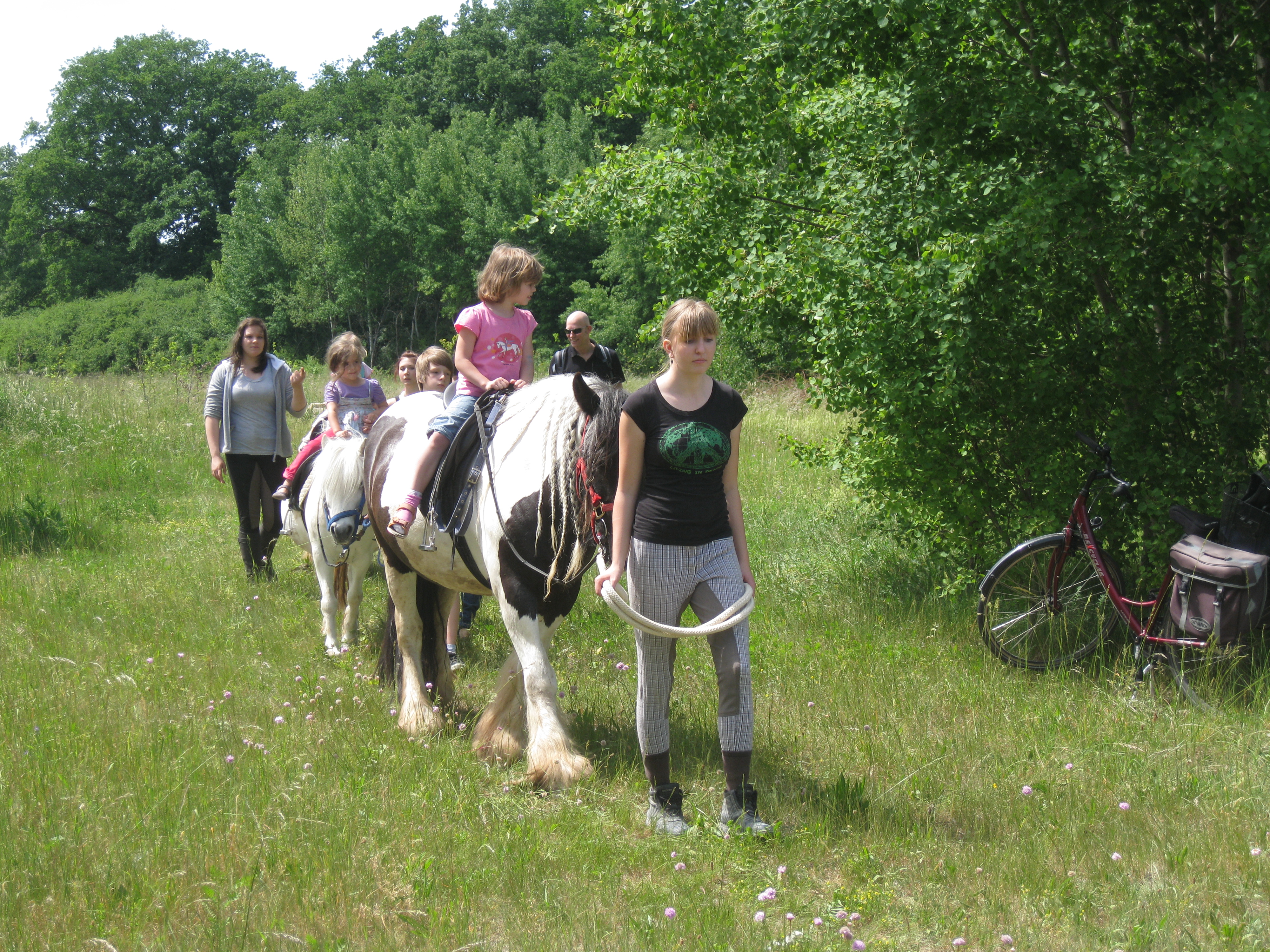 Ponyreiten Ziegelstein