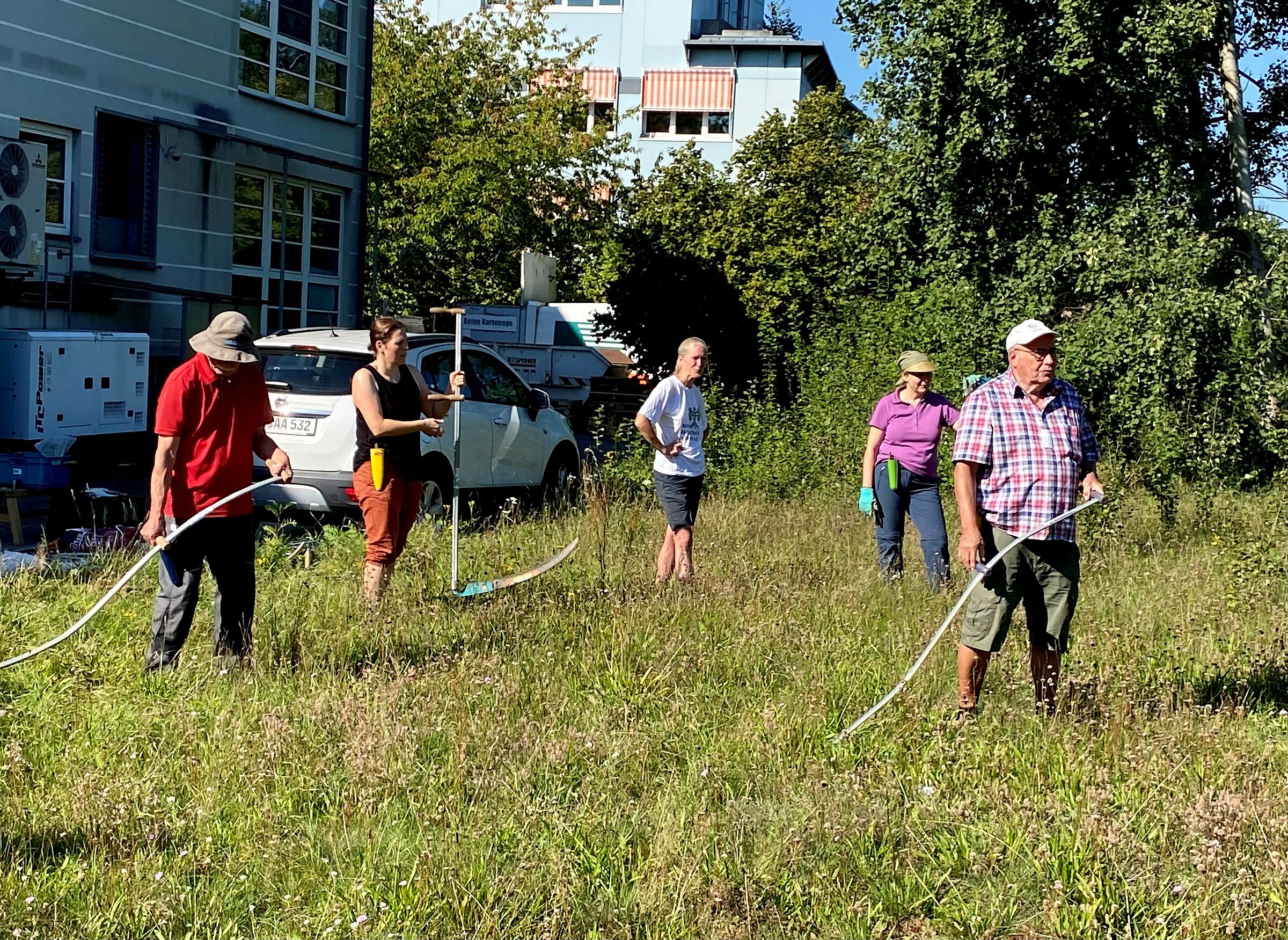 Sensenmähkurs Ziegelstein 2023 (Foto: Hiltrud Gödelmann) Sensenmähkurs Ziegelstein