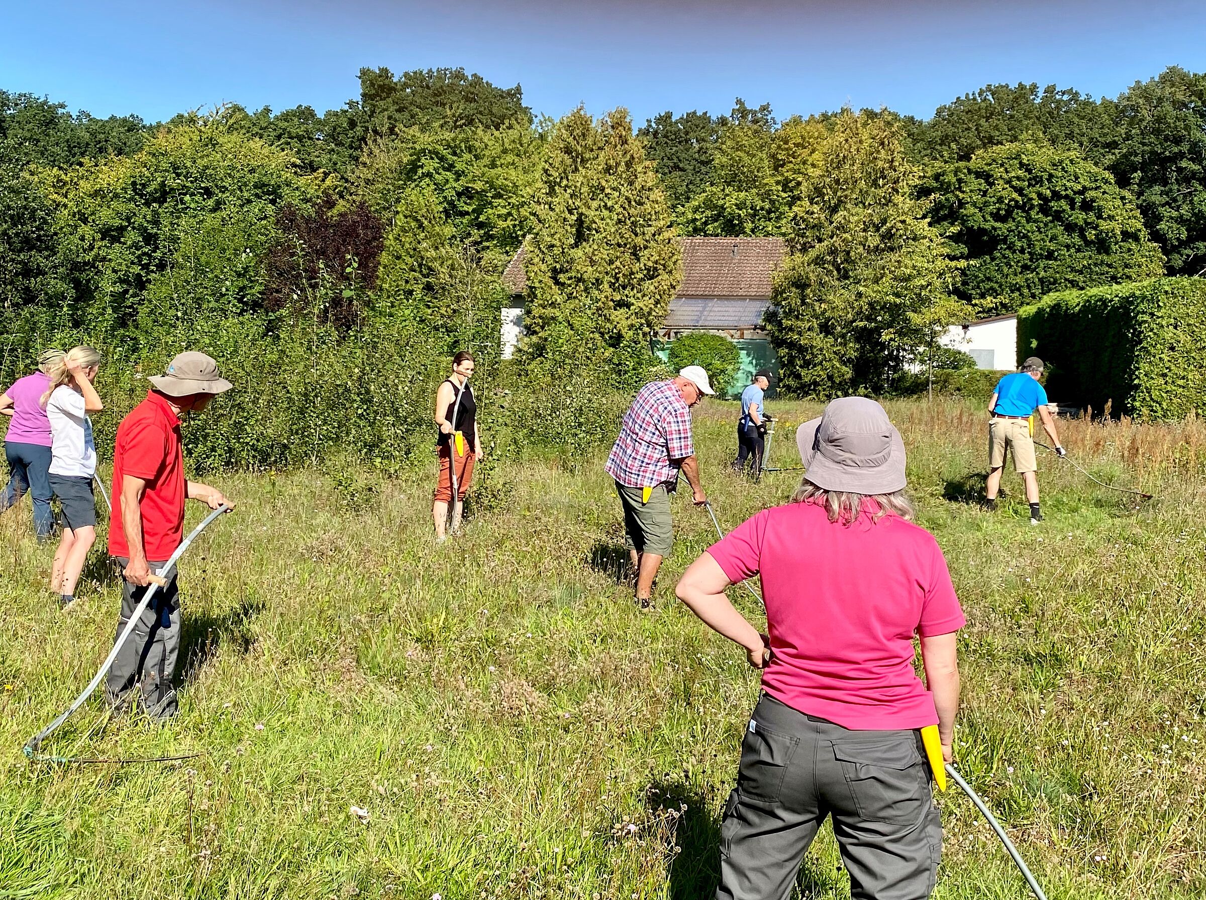 Sensenmähkurs Ziegelstein 2023 (Foto: Hiltrud Gödelmann) Sensenmähkurs Ziegelstein