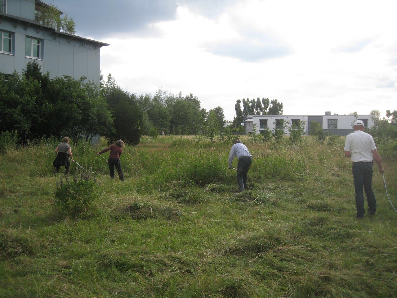 Sensenmähkurs Ziegelstein 2015 (Foto: Viola Gburek) Sensenmähkurs Ziegelstein