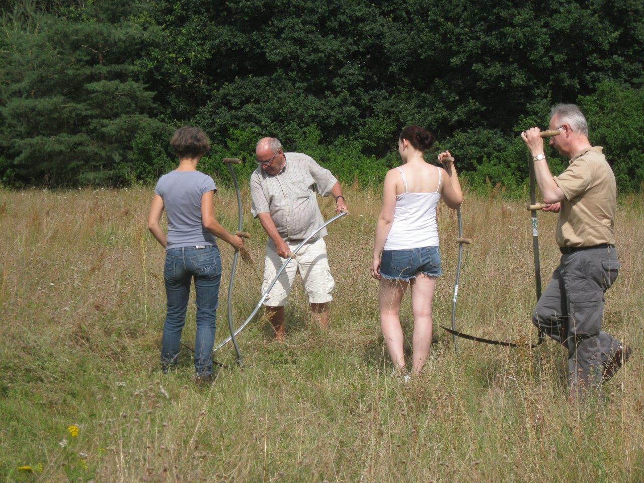 Sensenmähkurs Ziegelstein 2016 (Foto: Viola Gburek) Sensenmähkurs Ziegelstein