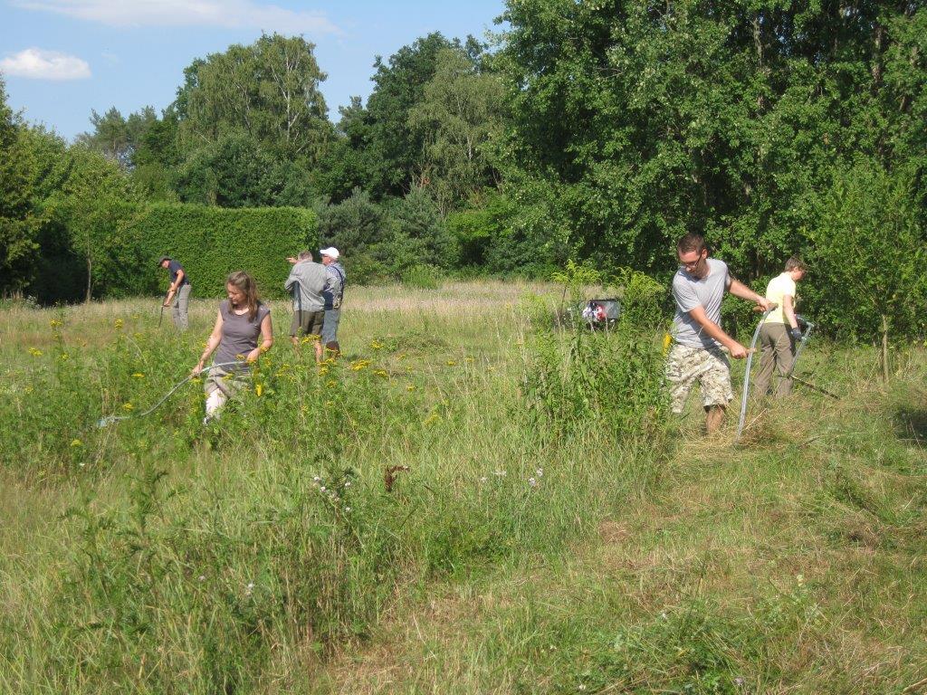 Sensenmähkurs Ziegelstein 2017 (Foto: Viola Gburek) Sensenmähkurs Ziegelstein
